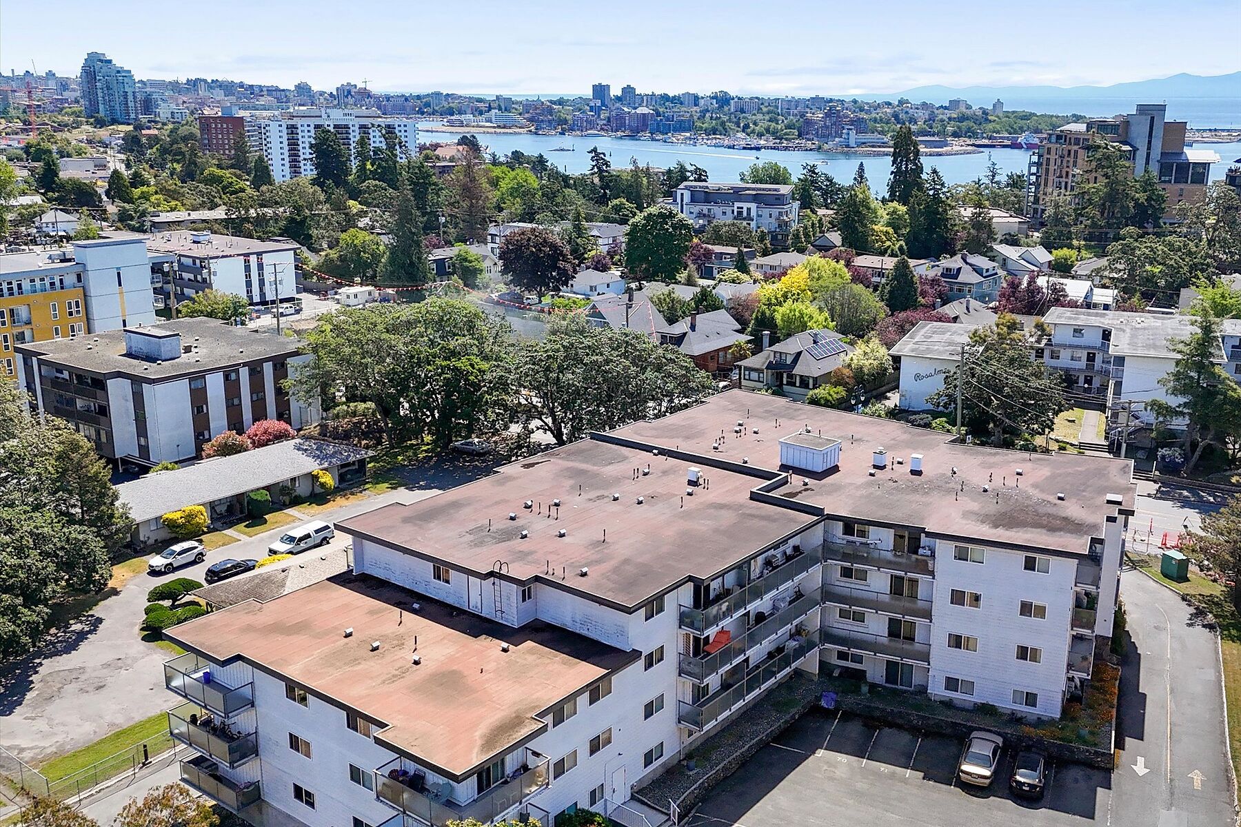  Comfortable & Bright - 物件實景