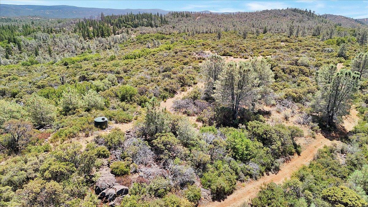 Oregon House, California, 95962, United States, ,Land,For Sale,1975767