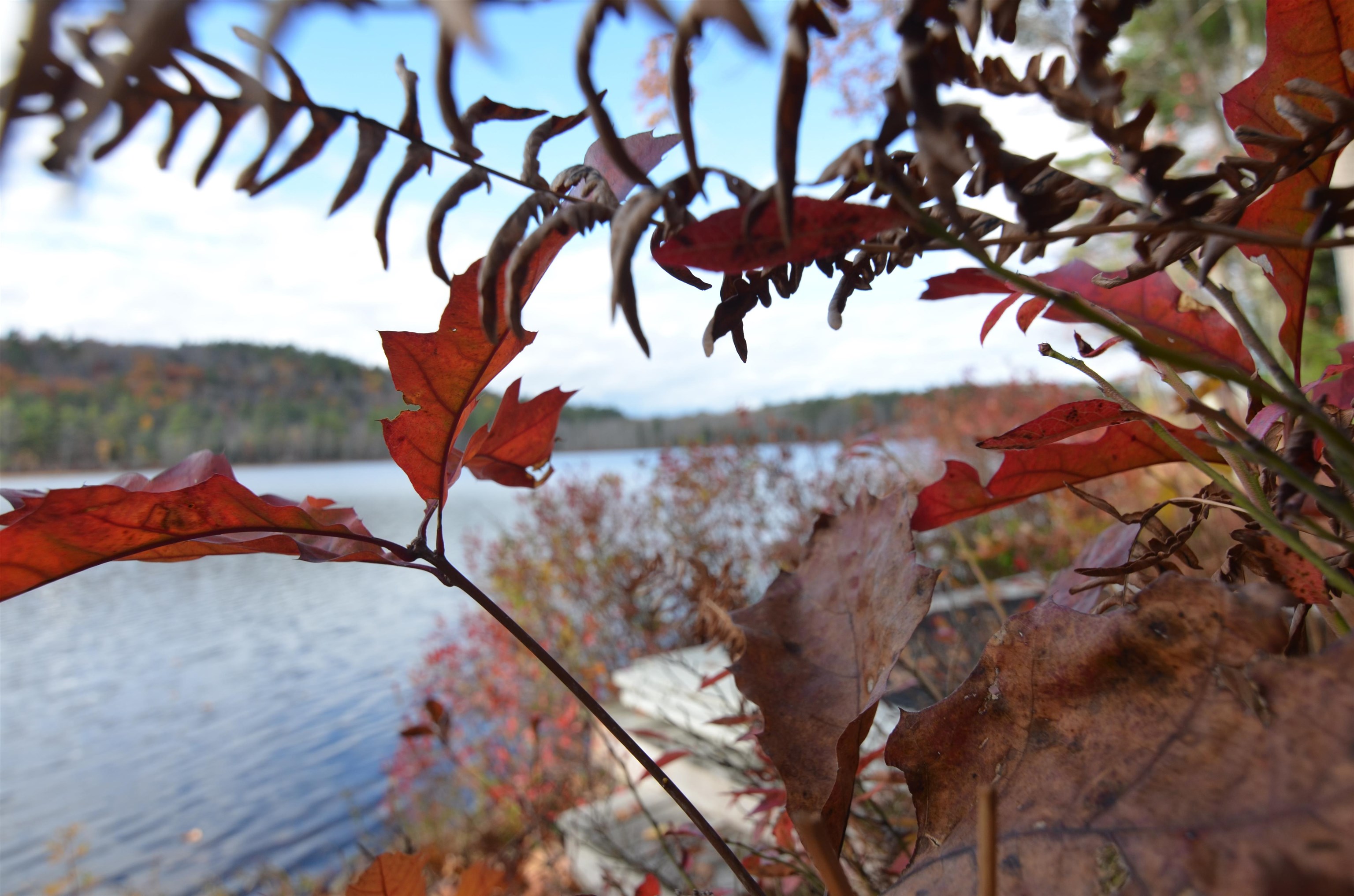 Grantham, New Hampshire, 03753, United States, 4 Bedrooms Bedrooms, ,1 BathroomBathrooms,Residential,For Sale,1992812