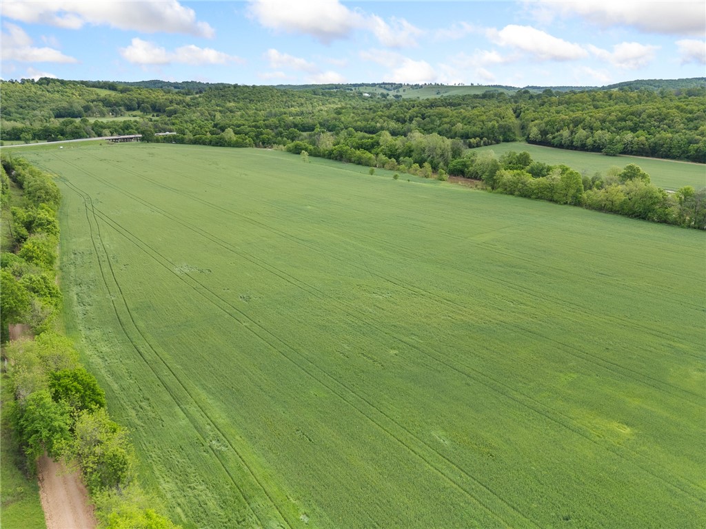 Alpena, Arkansas, 72611, United States, ,Land,For Sale,1903921