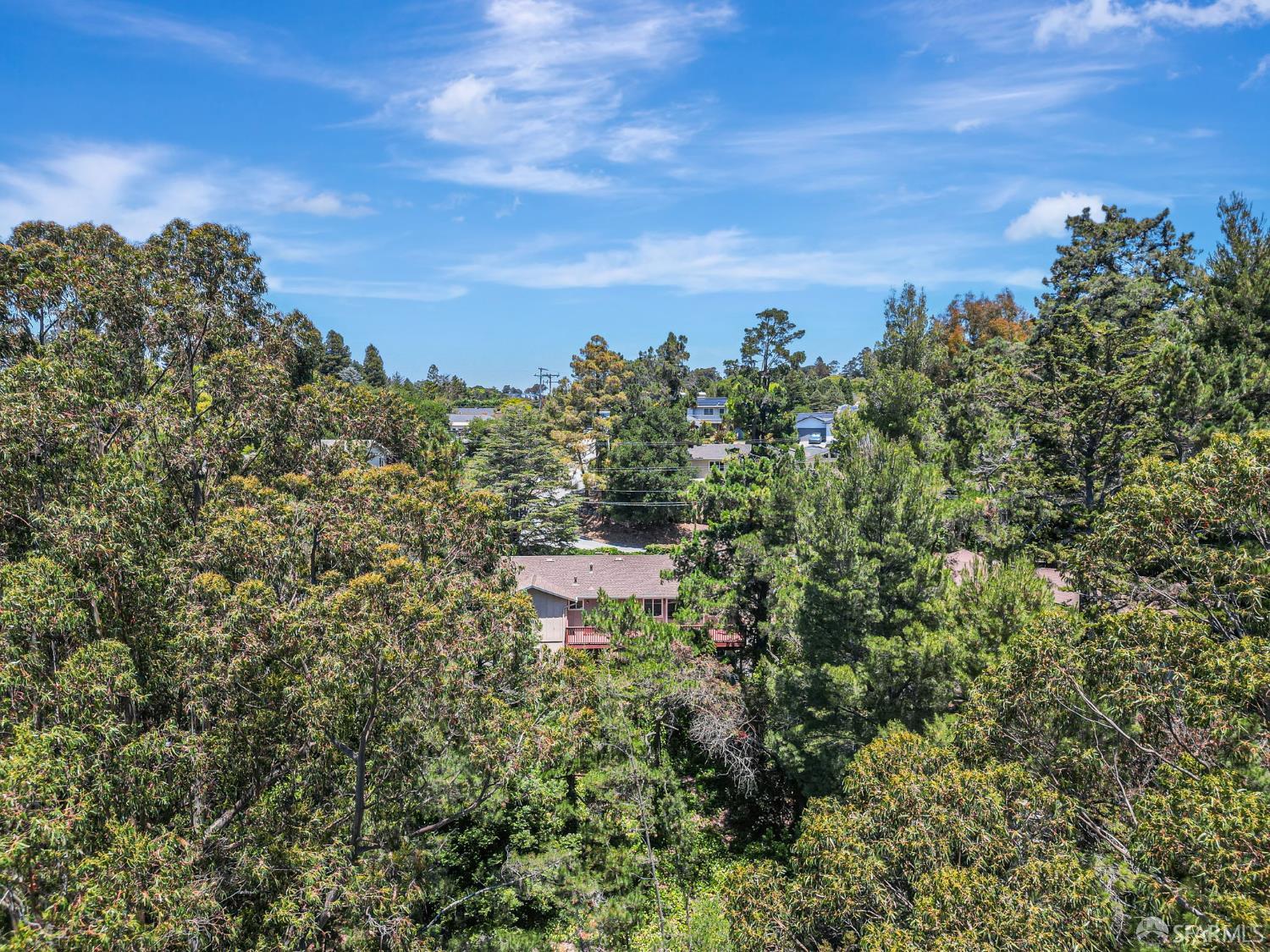 San Mateo, California, 94402, United States, 3 Bedrooms Bedrooms, ,3 BathroomsBathrooms,Residential,For Sale,1895374