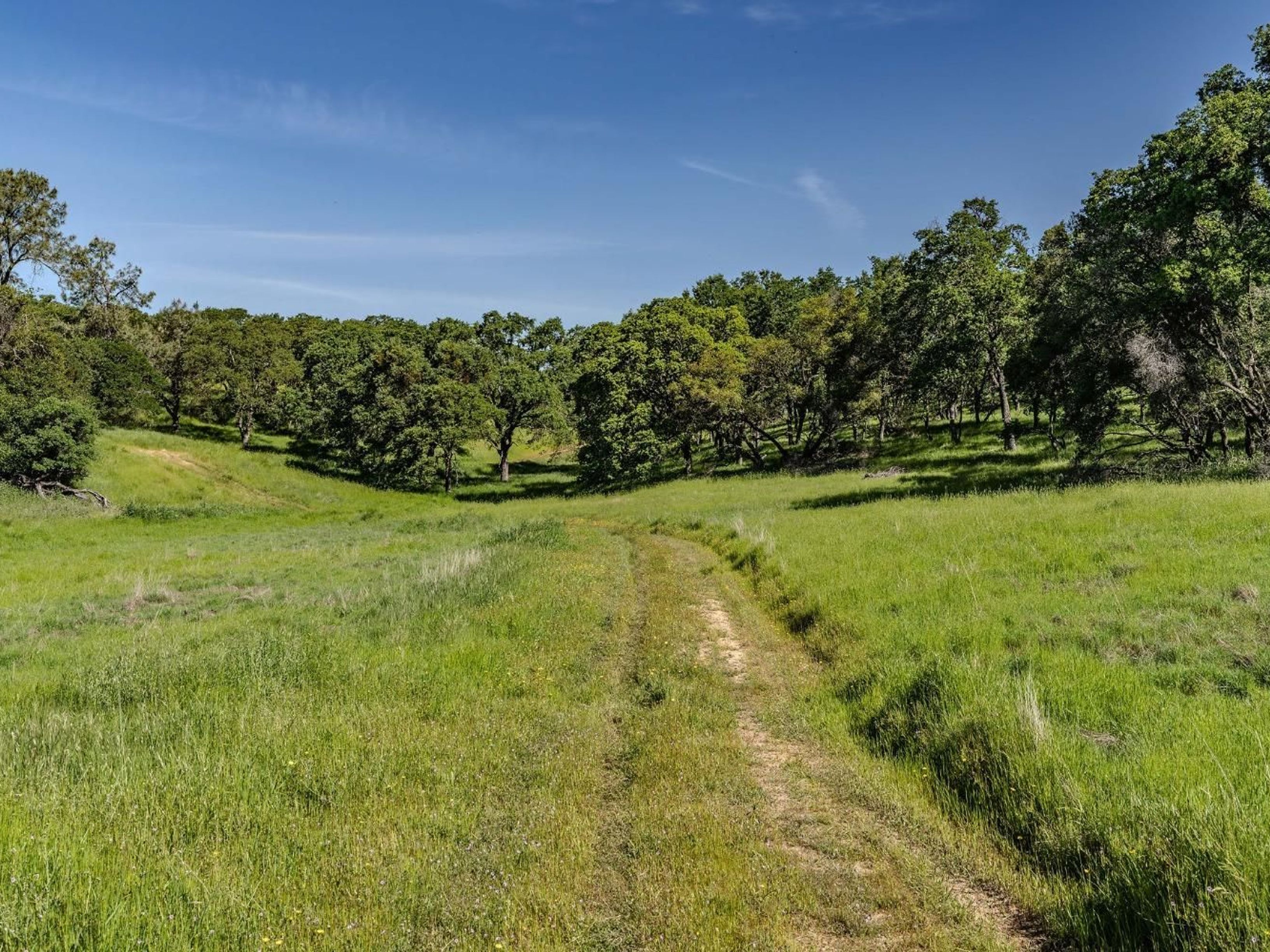  10865 Sunset Drive, Sutter Creek, CA 95685 - 物件實景