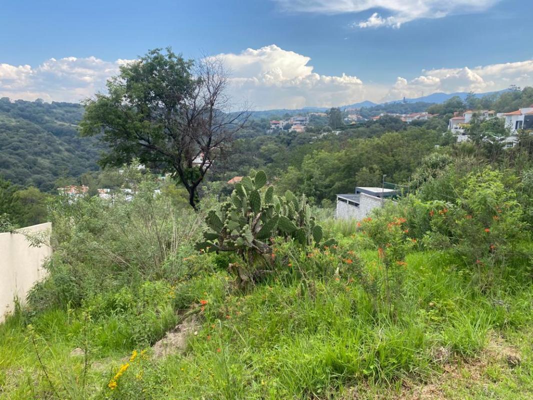 Calzada de los Llorones, Atizapán de Zaragoza, Estado de México, 52936, Mexico, 1 Bedroom Bedrooms, ,Residential,For Sale,Calzada de los Llorones,1622127