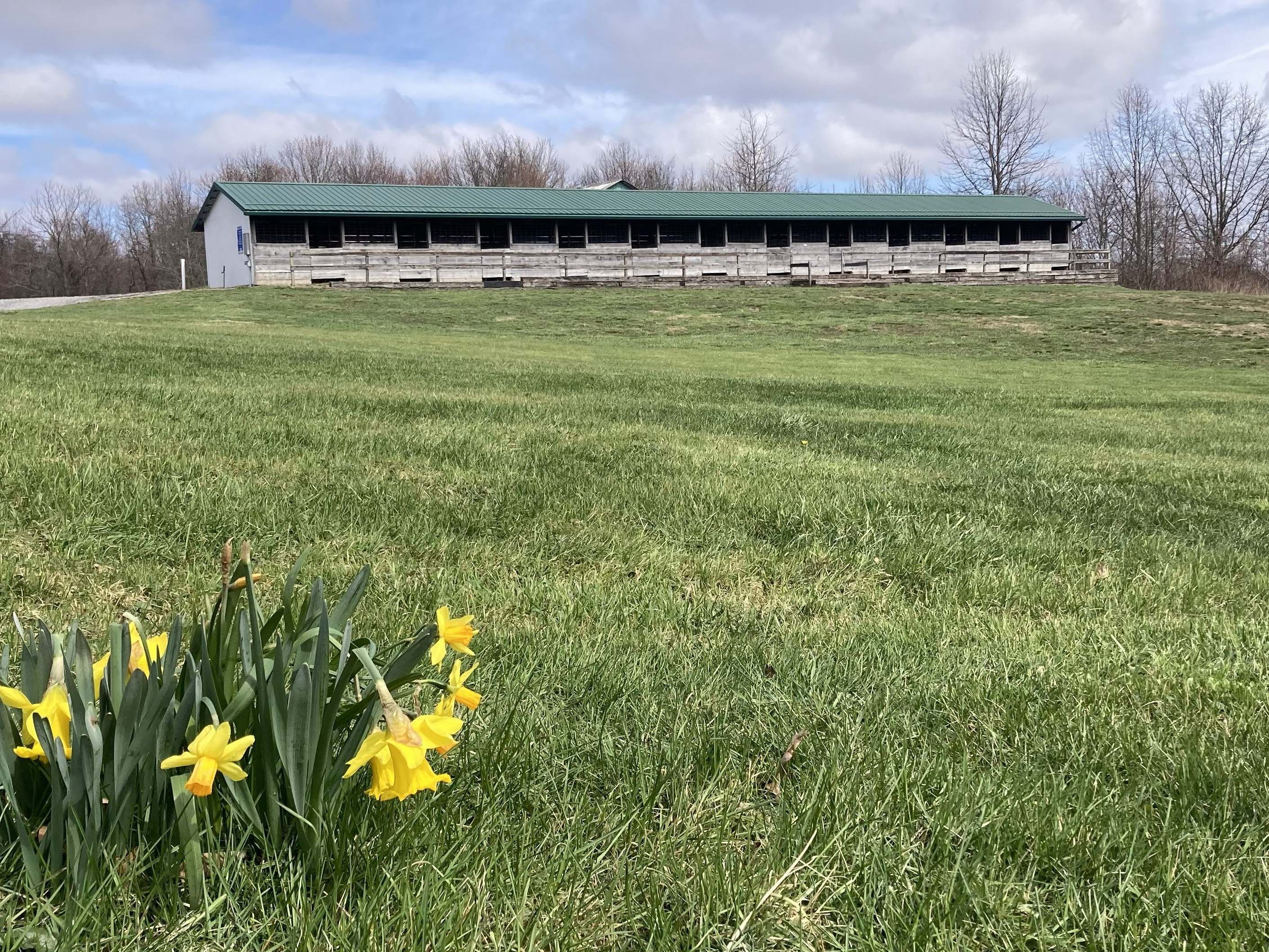  115-Acre Equestrian and Agritourism Estate in Grove City, Pennsylvania - 物件實景