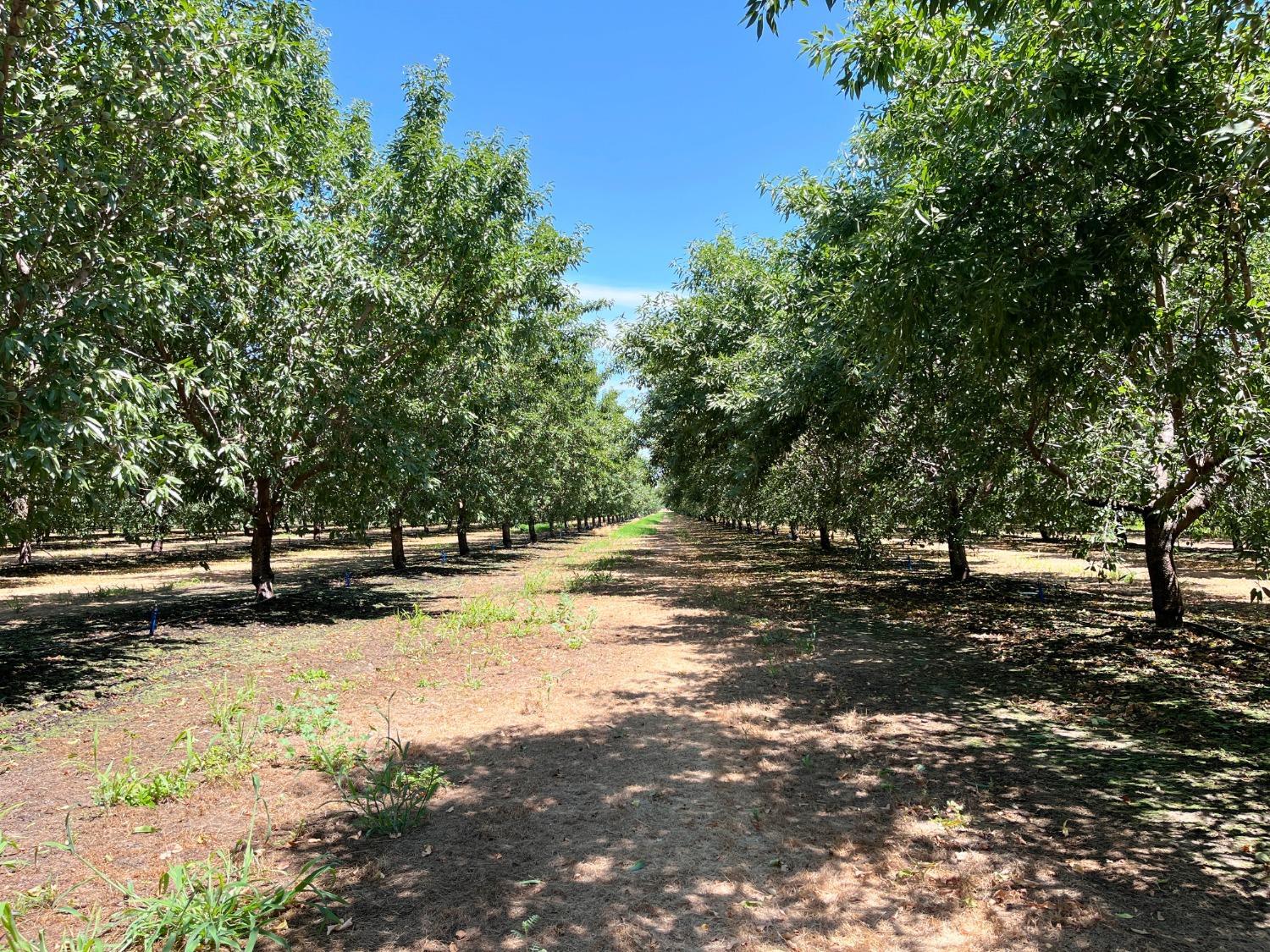 Livingston, California, 95334, United States, 4 Bedrooms Bedrooms, ,3 BathroomsBathrooms,Residential,For Sale,1978085