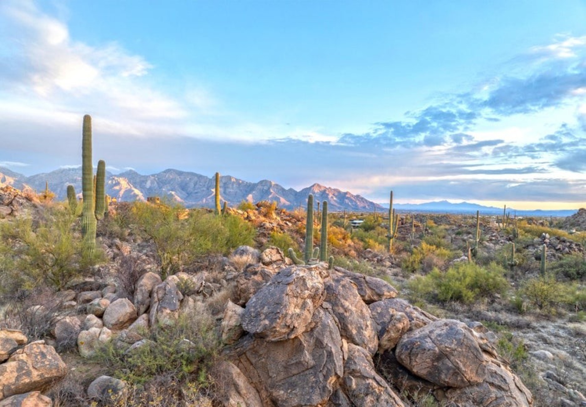  1178 Tortolita Mountain Circle 196¦Oro Valley, AZ - 物件實景