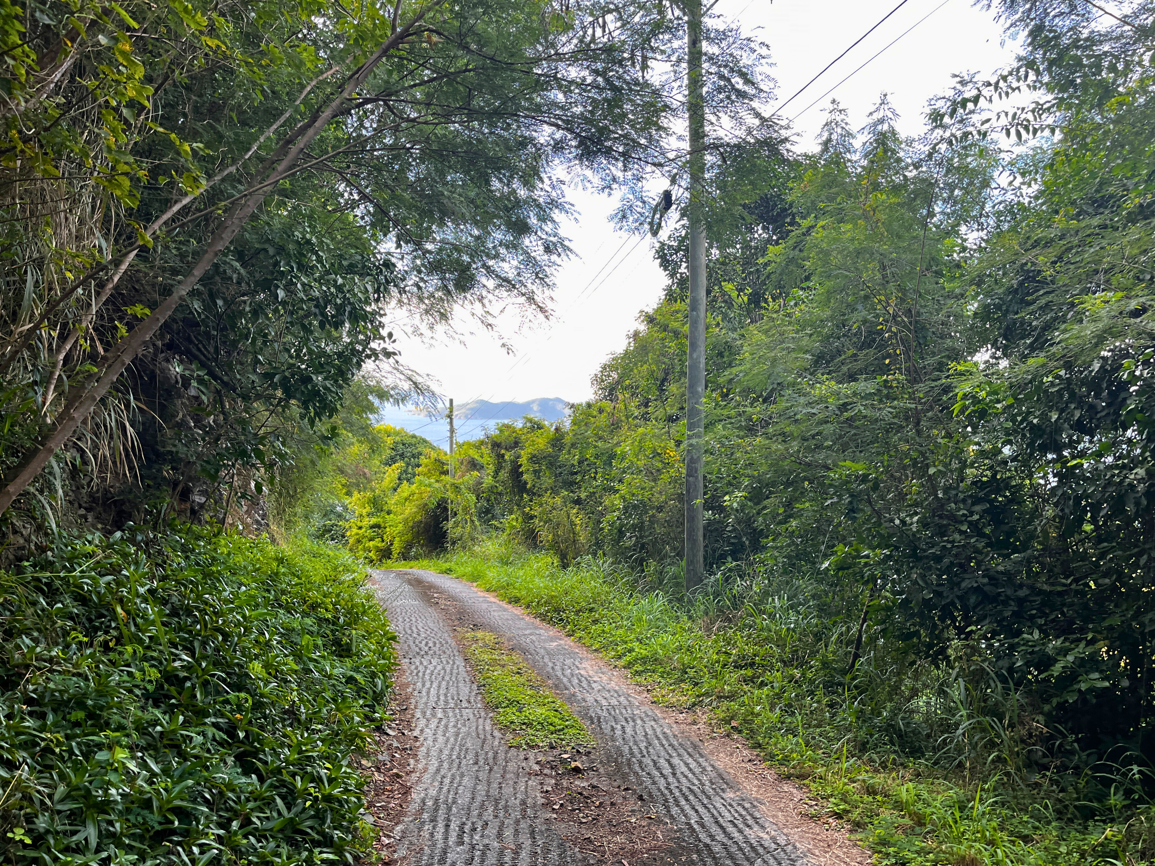  Havers St. John View - 物件實景