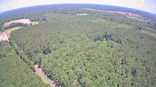 Reevesville, South Carolina, 29471, United States, ,Land,For Sale,1868815