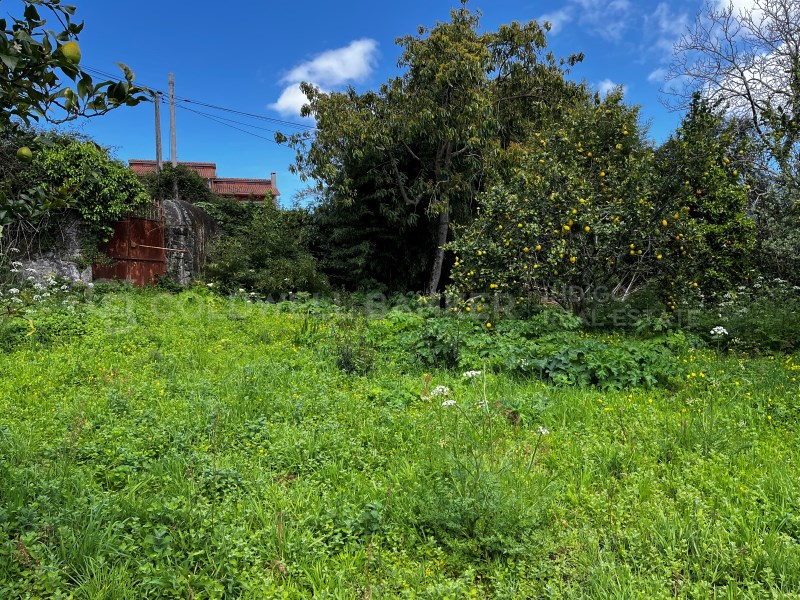 Pontevedra, Moa?a, Moa?a (San Marti?o P. E Virxe d, Moaña, Galicia, ES, 7 Bedrooms Bedrooms, ,2 BathroomsBathrooms,Residential,For Sale,Pontevedra, Moa?a, Moa?a (San Marti?o P. E Virxe d,1623275