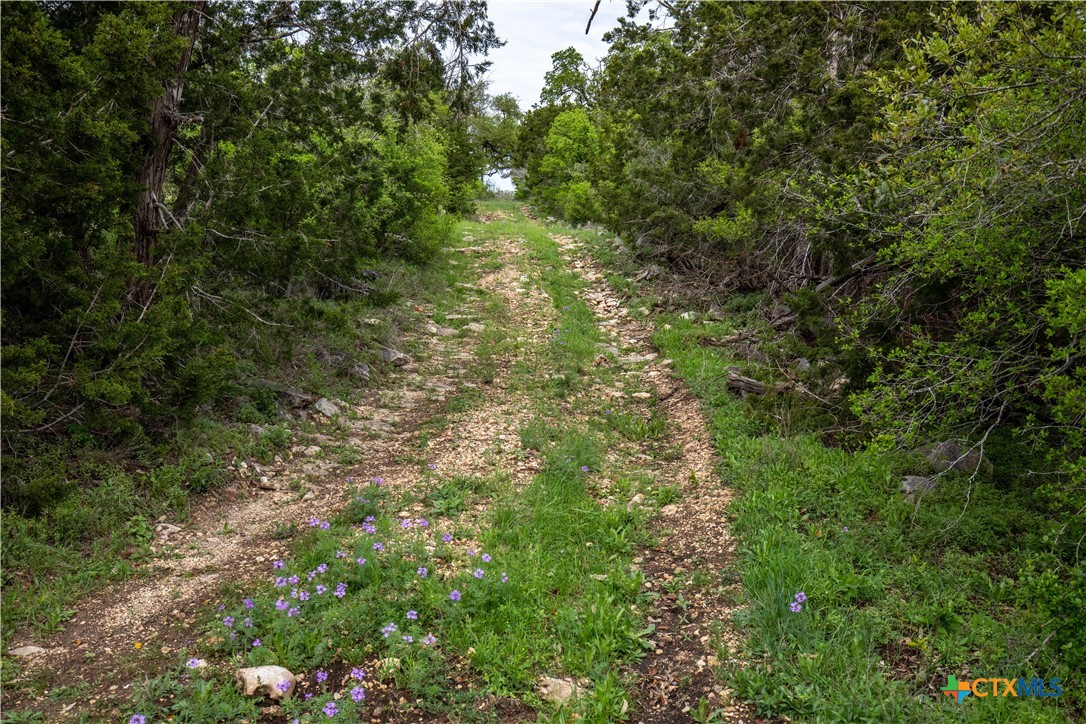San Marcos, Texas, 78666, United States, ,Land,For Sale,1990898