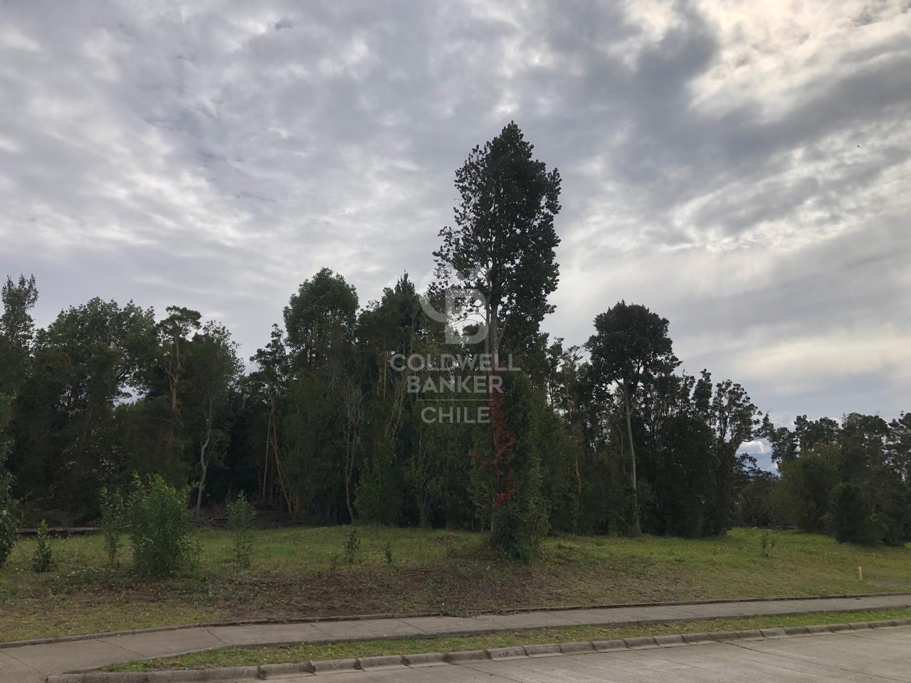 Puerto Varas, Chile, ,Residential,For Sale,1959387