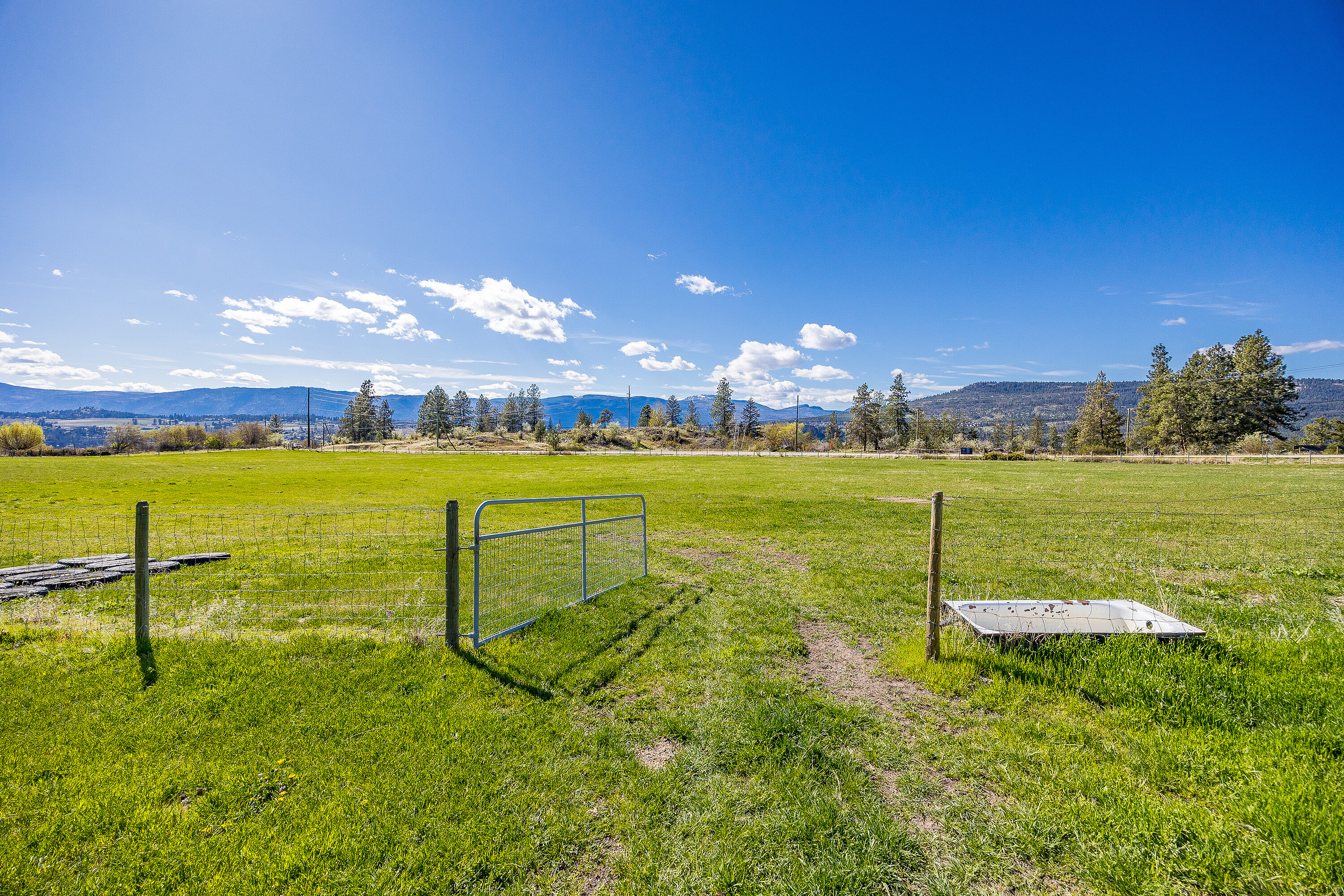  Lakeview Estate - 物件實景