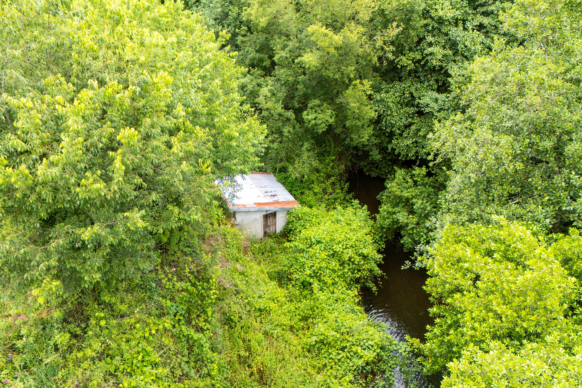  Farm, 3 bedrooms, for Sale - 物件實景
