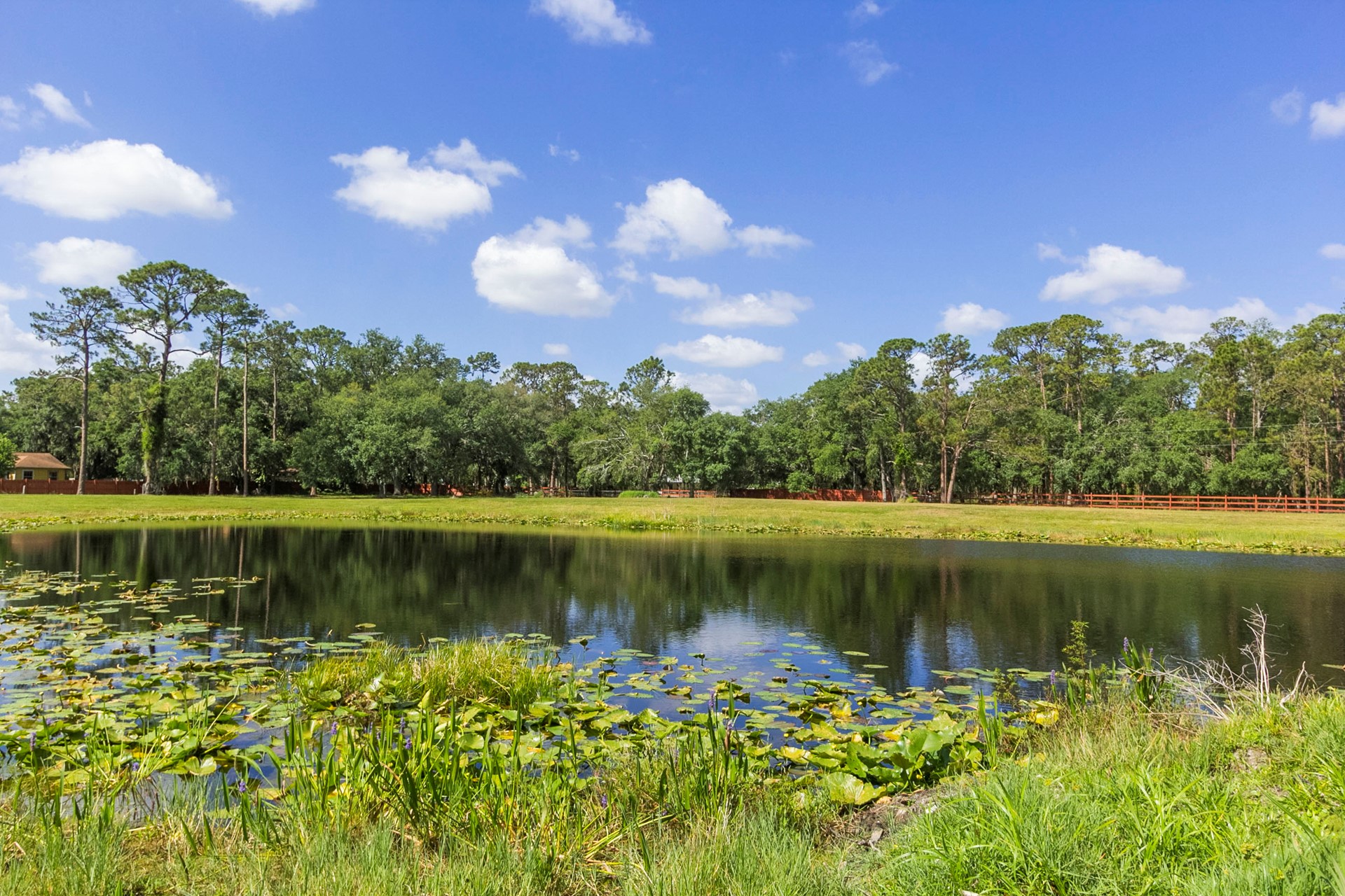 Marjorie Rd, St Cloud, Florida, 34772, United States, ,Land,For Sale,Marjorie Rd,1627842