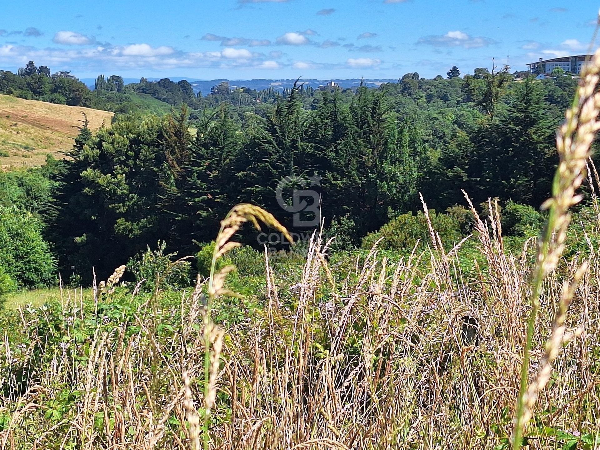 Osorno, Chile, ,Land,For Sale,1972838