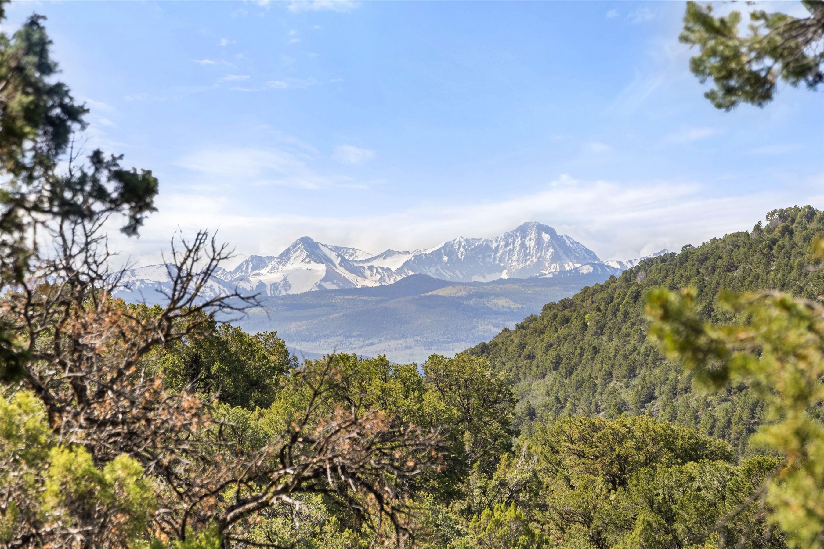  Colorado Dream Home - 物件實景