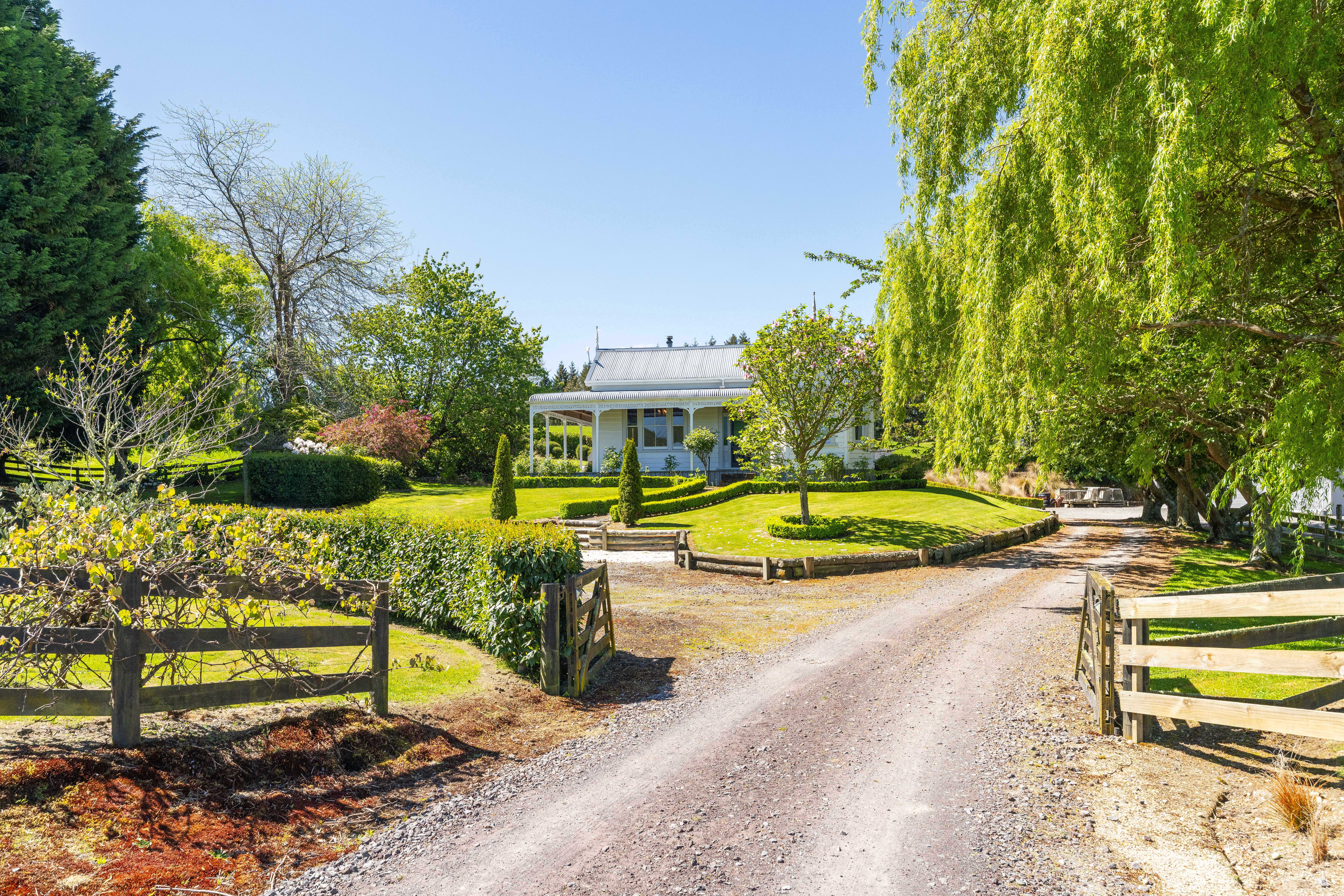  93 Oak Drive, Wairakei - 物件實景