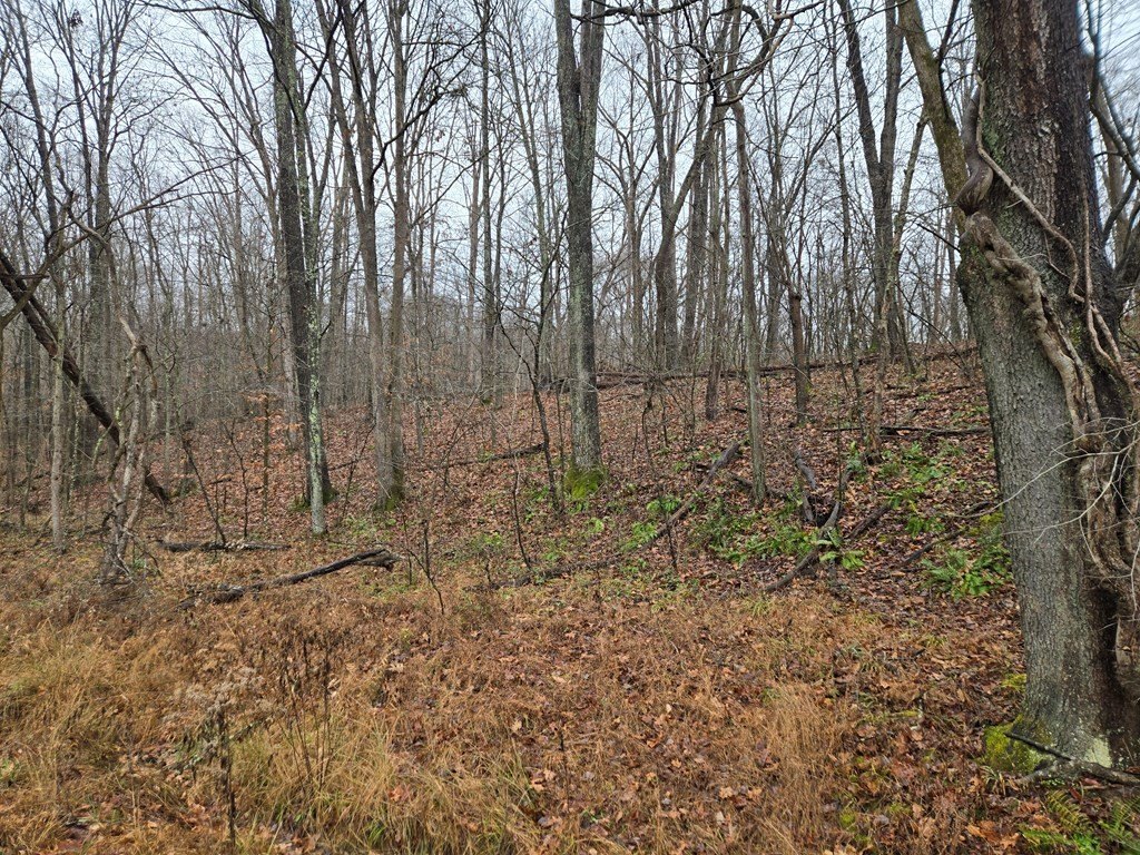 Pedro, Ohio, 45659, United States, 4 Bedrooms Bedrooms, ,3 BathroomsBathrooms,Residential,For Sale,2005116