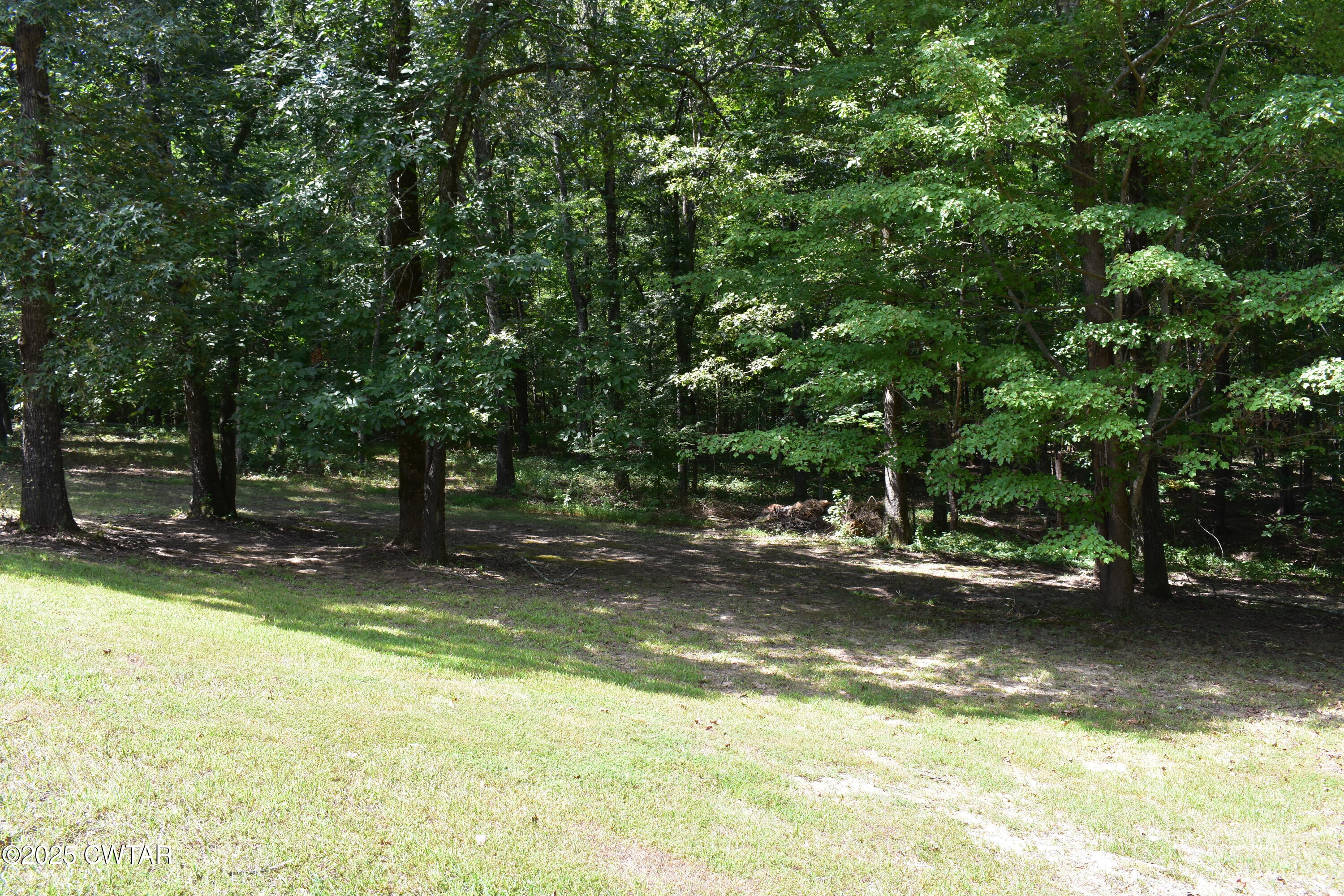 Beech Bluff, Tennessee, 38313, United States, 5 Bedrooms Bedrooms, ,5 BathroomsBathrooms,Residential,For Sale,1916830