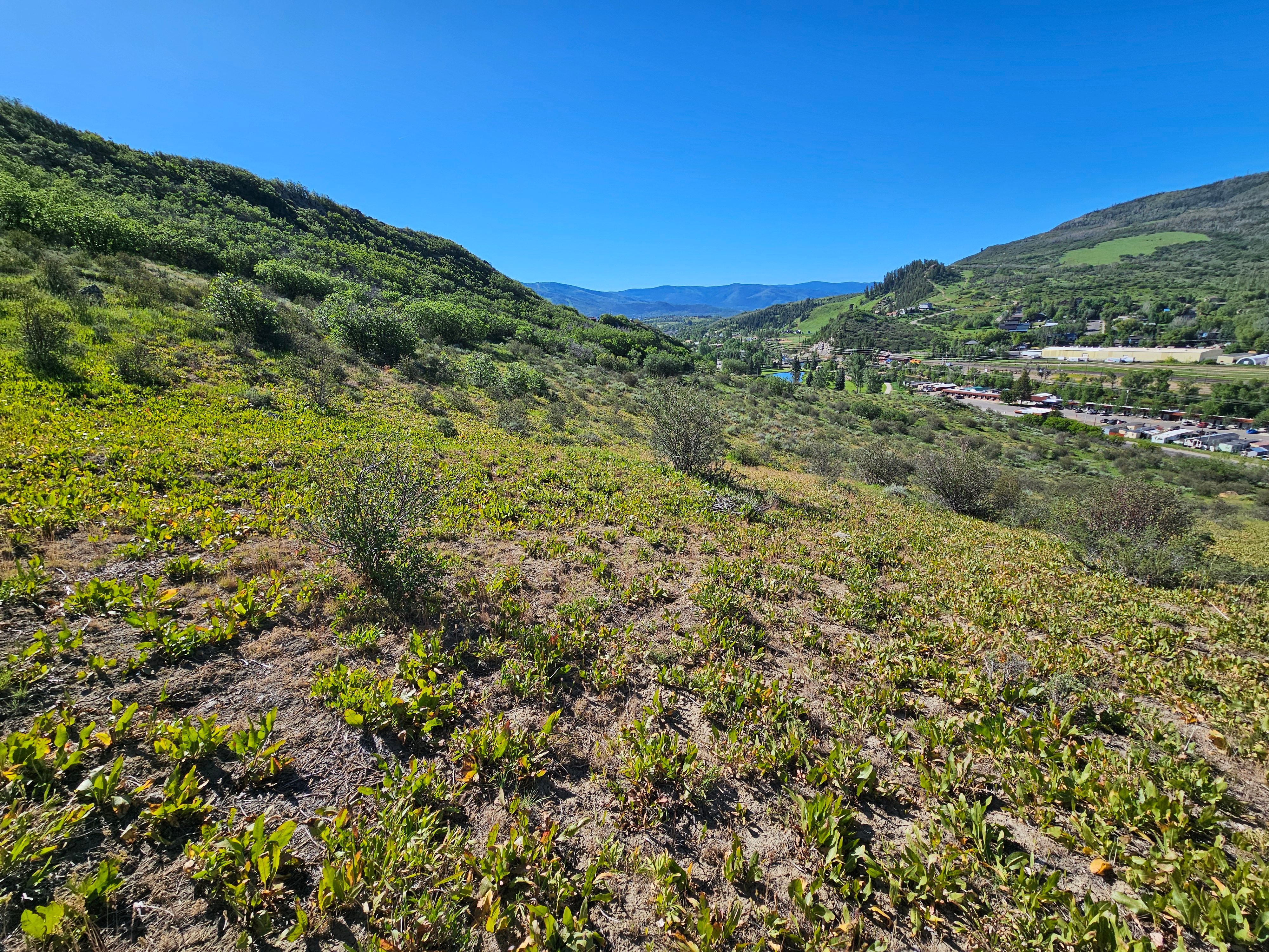  1327 Indian Trail, Steamboat Springs, CO, 80487 - 物件實景