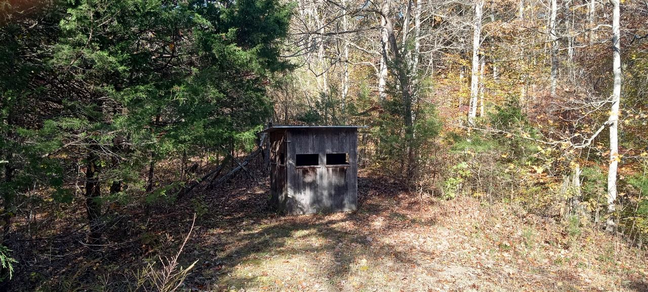 Willow Shade, Kentucky, 42166, United States, 3 Bedrooms Bedrooms, ,2 BathroomsBathrooms,Residential,For Sale,1991903