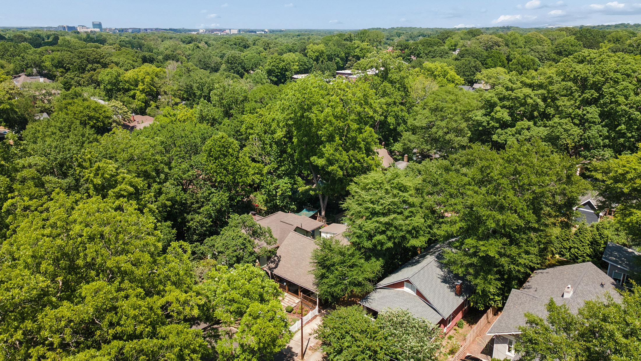  Historic Charm Meets Outdoor Living in Candler Park - 物件實景