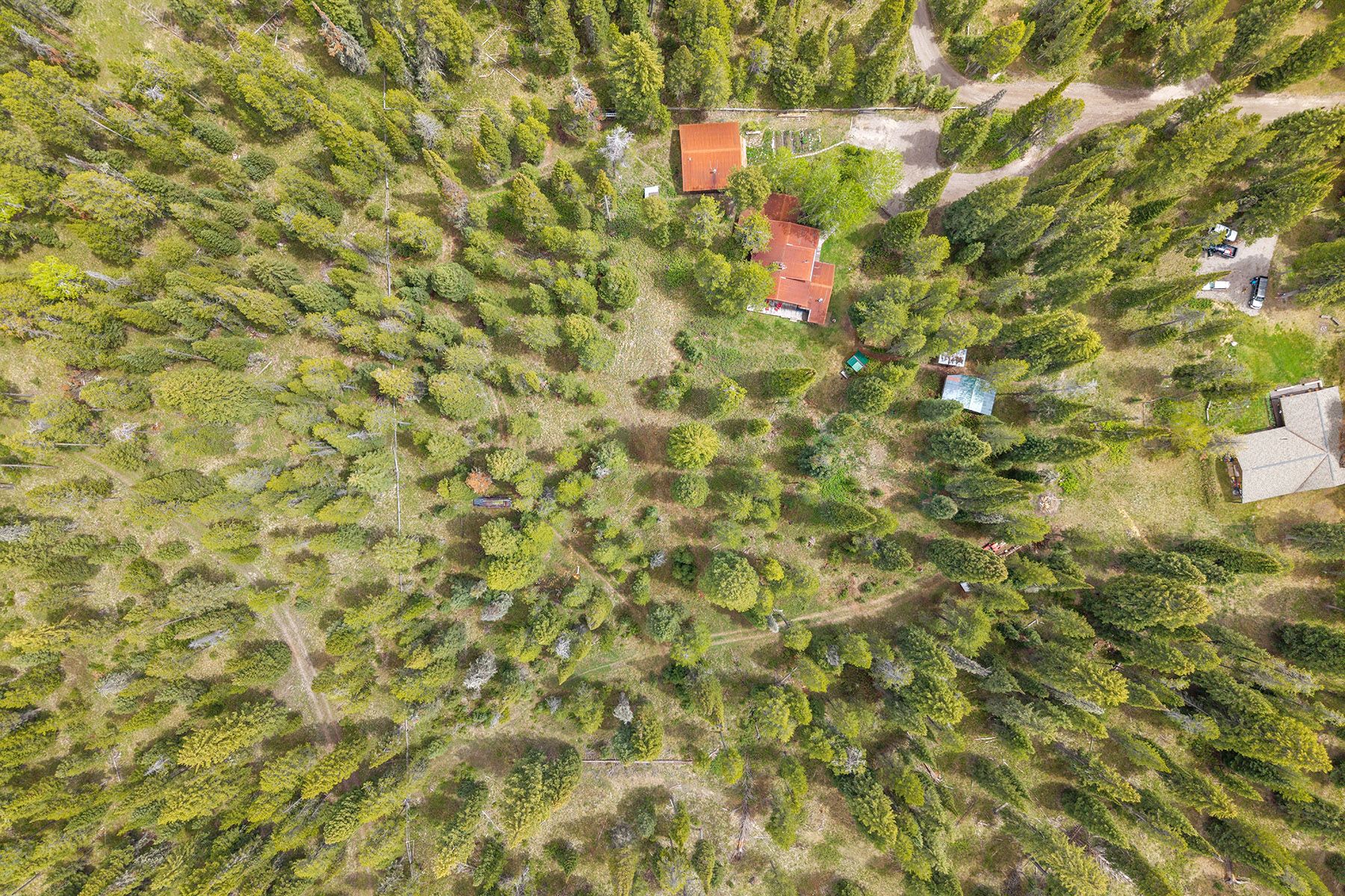  Bordering Conservation Space in Heck of a Hill - 物件實景
