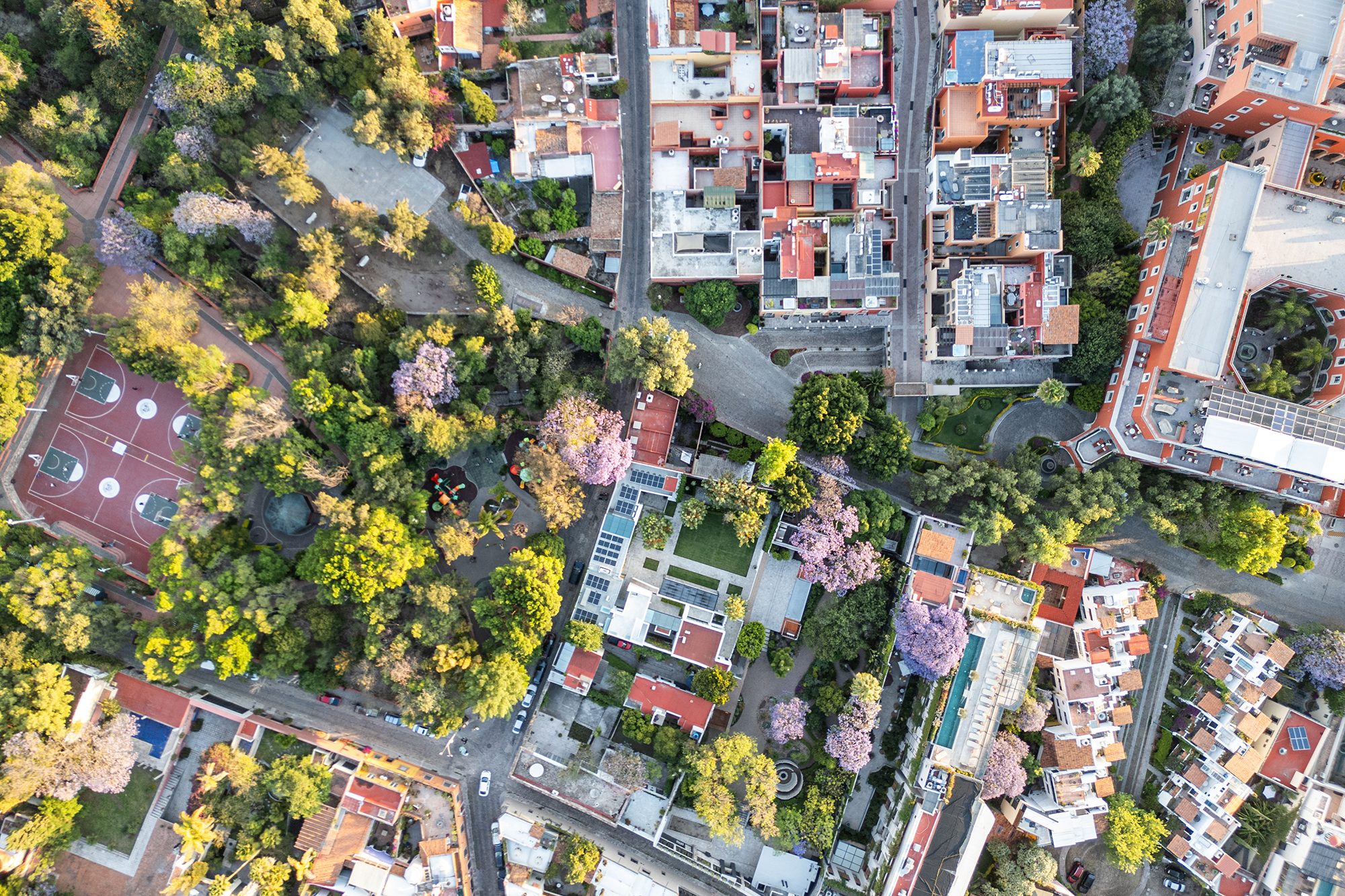  Rosewood 2a - 物件實景