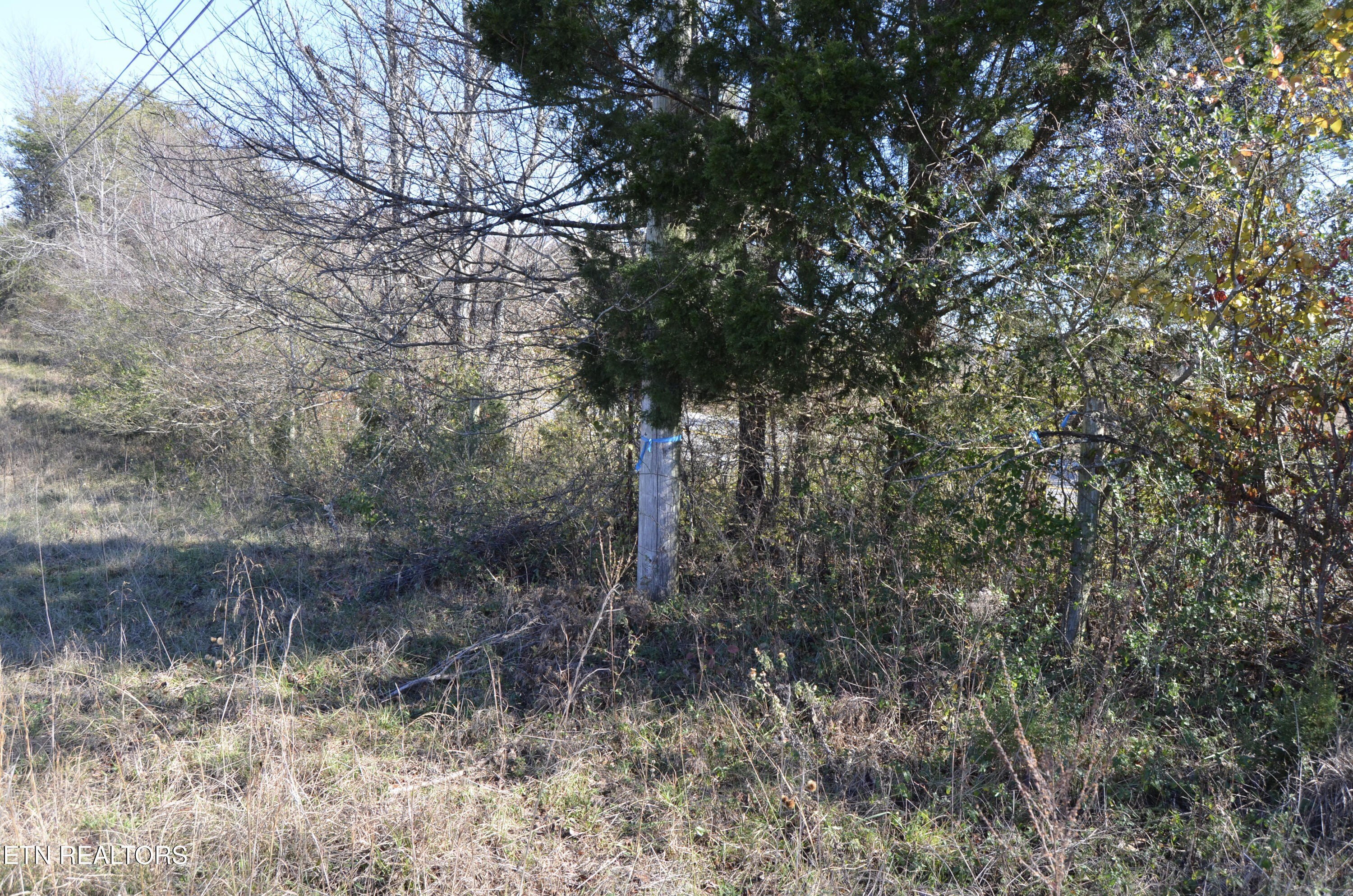 Crossville, Tennessee, 38555, United States, ,Land,For Sale,1978266