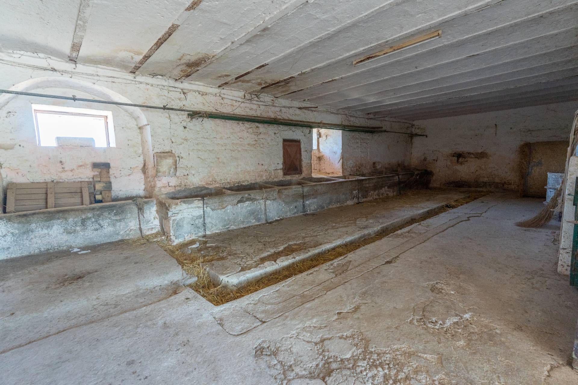 Contrada San Biagio, Ostuni, Brindisi, 72017, IT, 4 Bedrooms Bedrooms, ,2 BathroomsBathrooms,Residential,For Sale,Contrada San Biagio,1504310