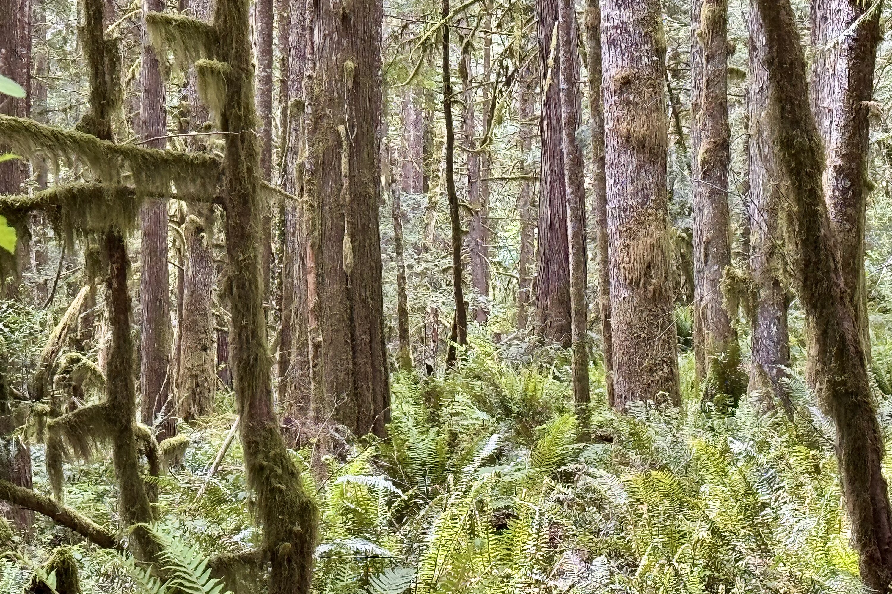  Sechelt, Sunshine Coast - 物件實景