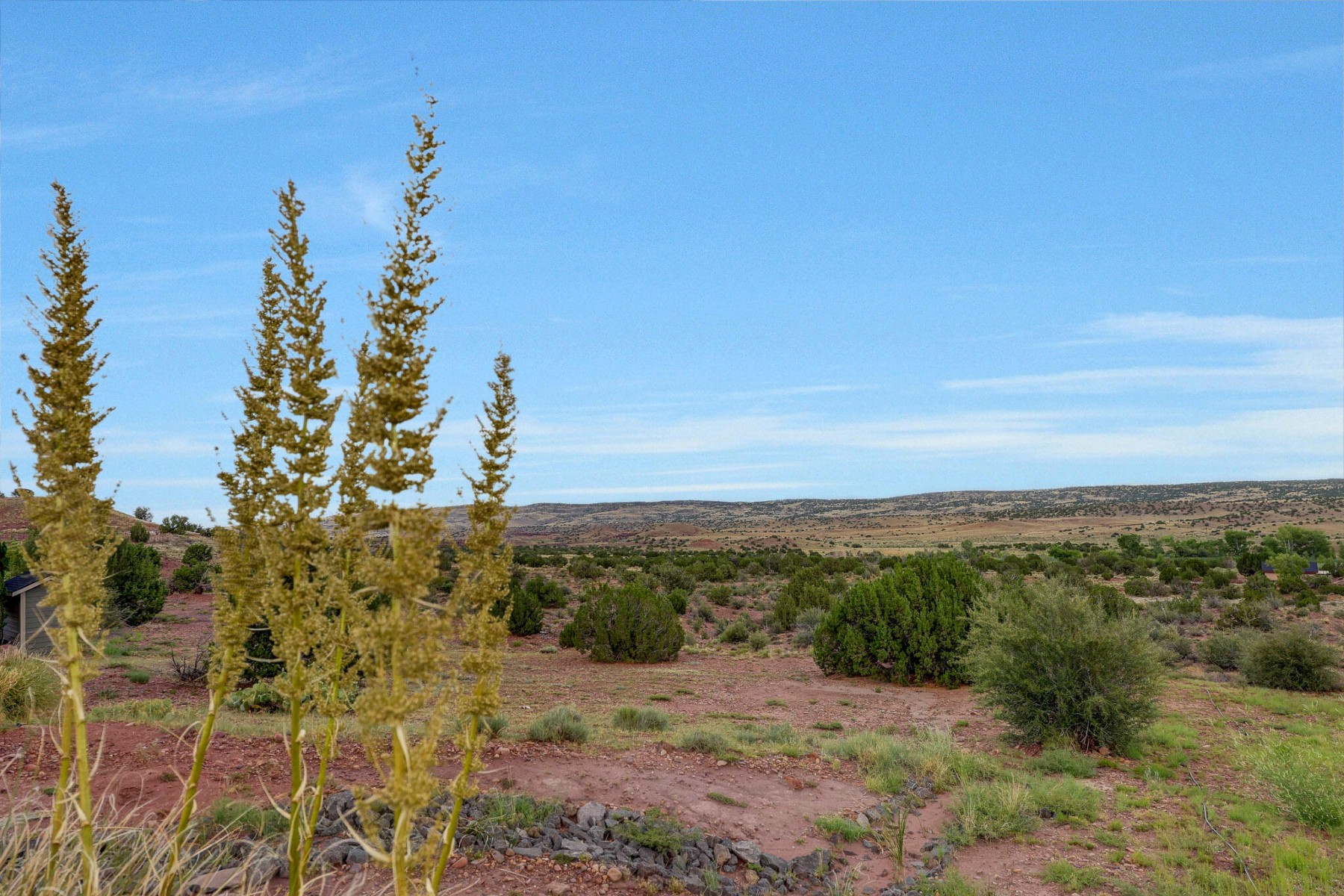 14 County Road 5309, Concho, AZ 85924 - 物件實景