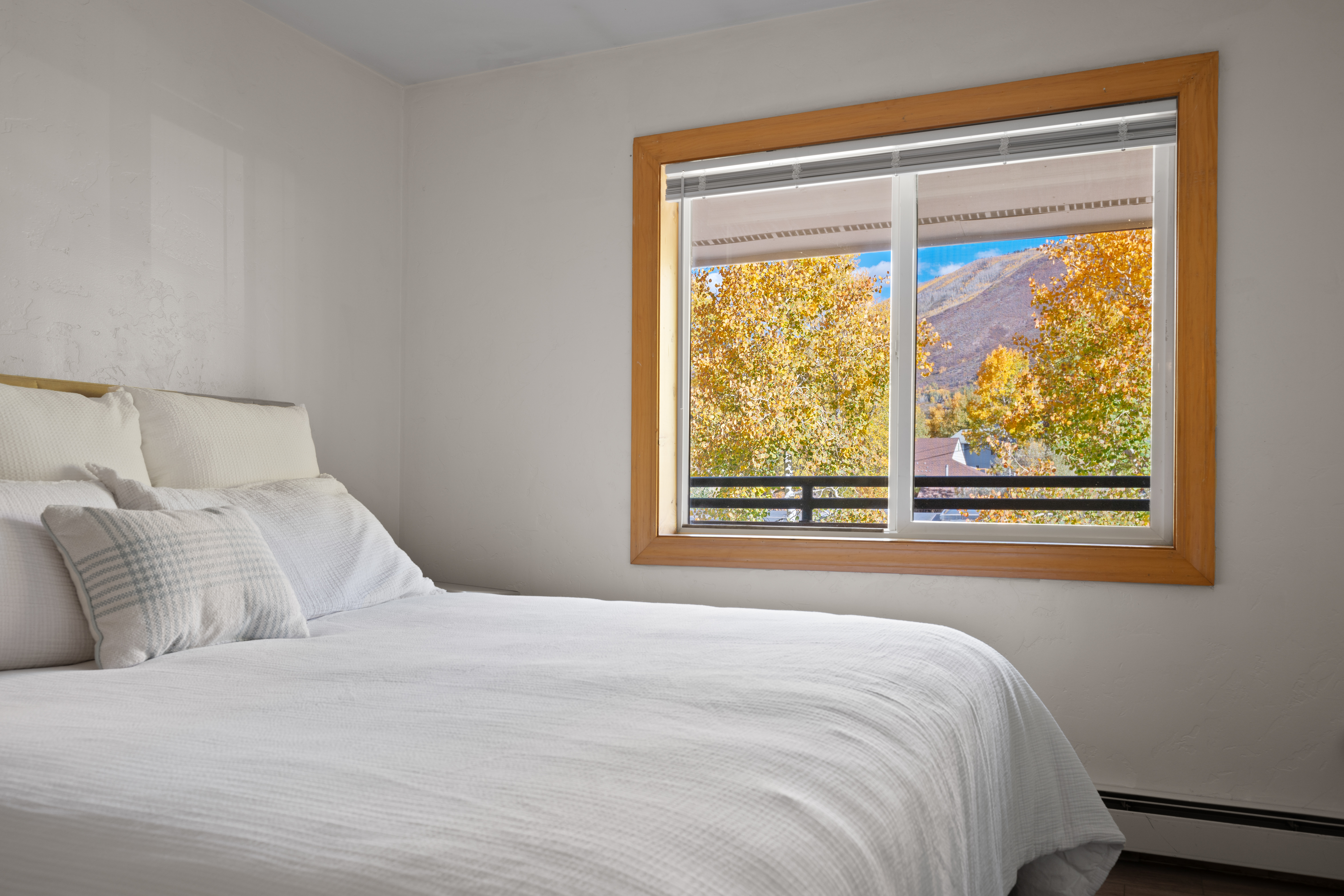  326 Midland Avenue 306, Aspen, CO, 81611 - 物件實景