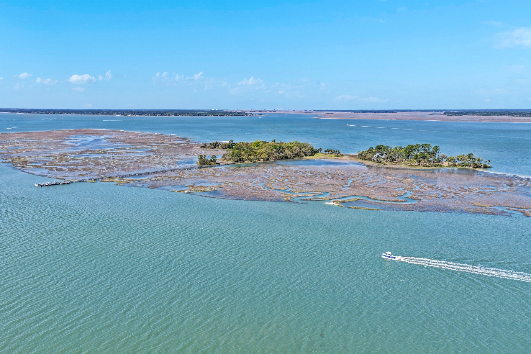  Buck Island  A Private Lowcountry Sanctuary - 物件實景
