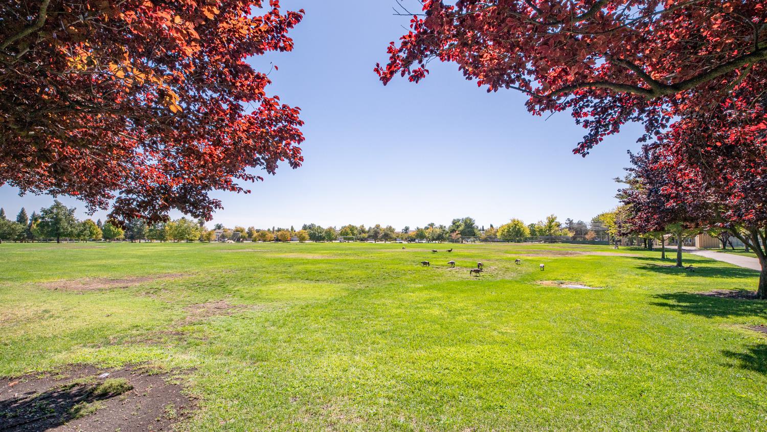 Sacramento, California, 95835, United States, 3 Bedrooms Bedrooms, ,3 BathroomsBathrooms,Residential,For Sale,1970680