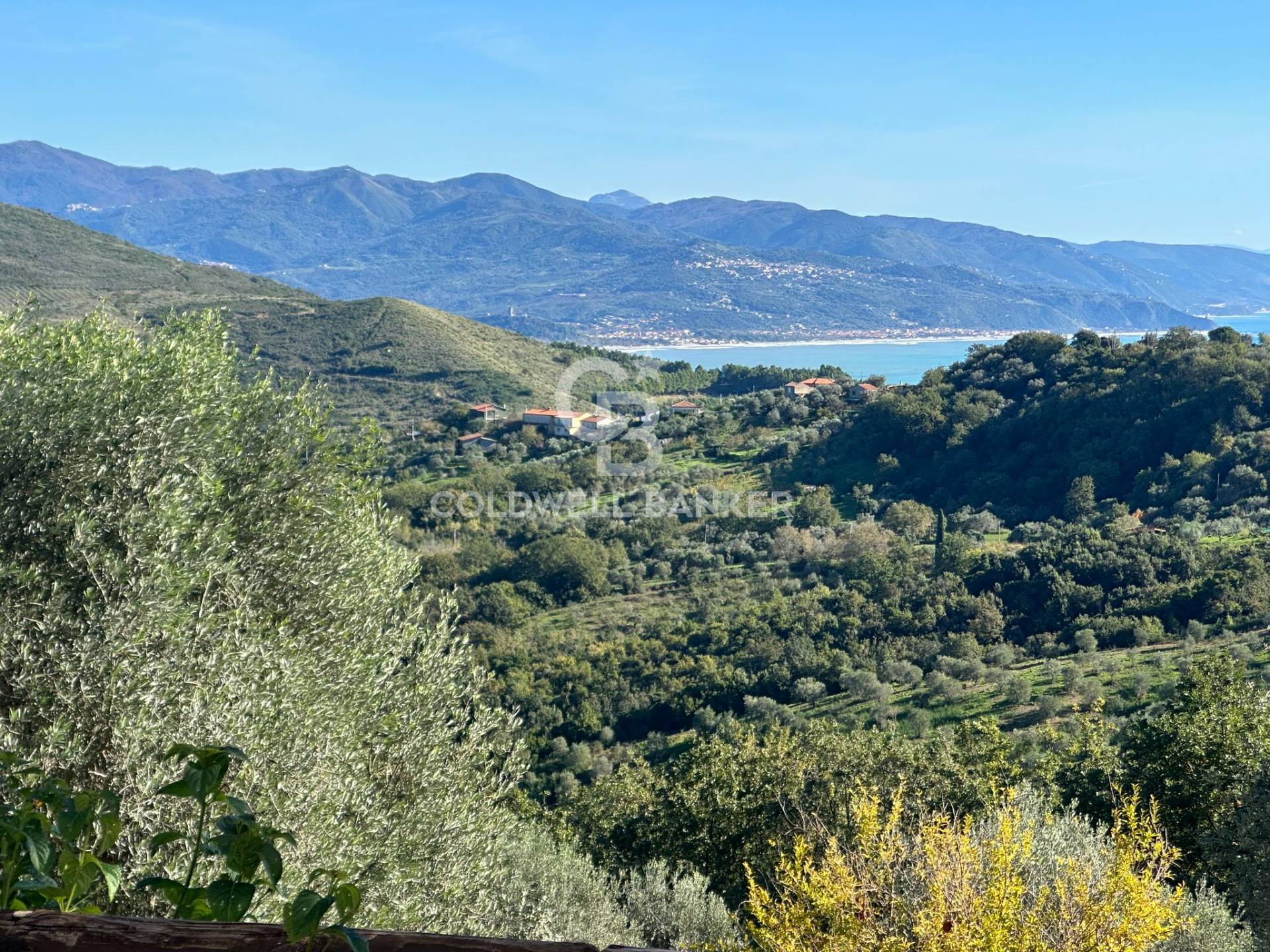 Contrada San Leonardo, Pollica, Salerno, 84068, IT, 6 Bedrooms Bedrooms, ,8 BathroomsBathrooms,Residential,For Sale,Contrada San Leonardo,1673347