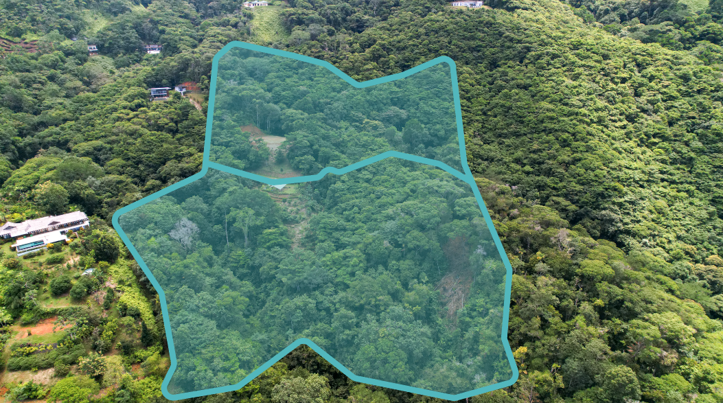 Costa Verde Estates Lot 81 & 84, Islas Road, Dominical, Puntarenas, CR, ,Land,For Sale,Costa Verde Estates Lot 81 & 84, Islas Road,1611884