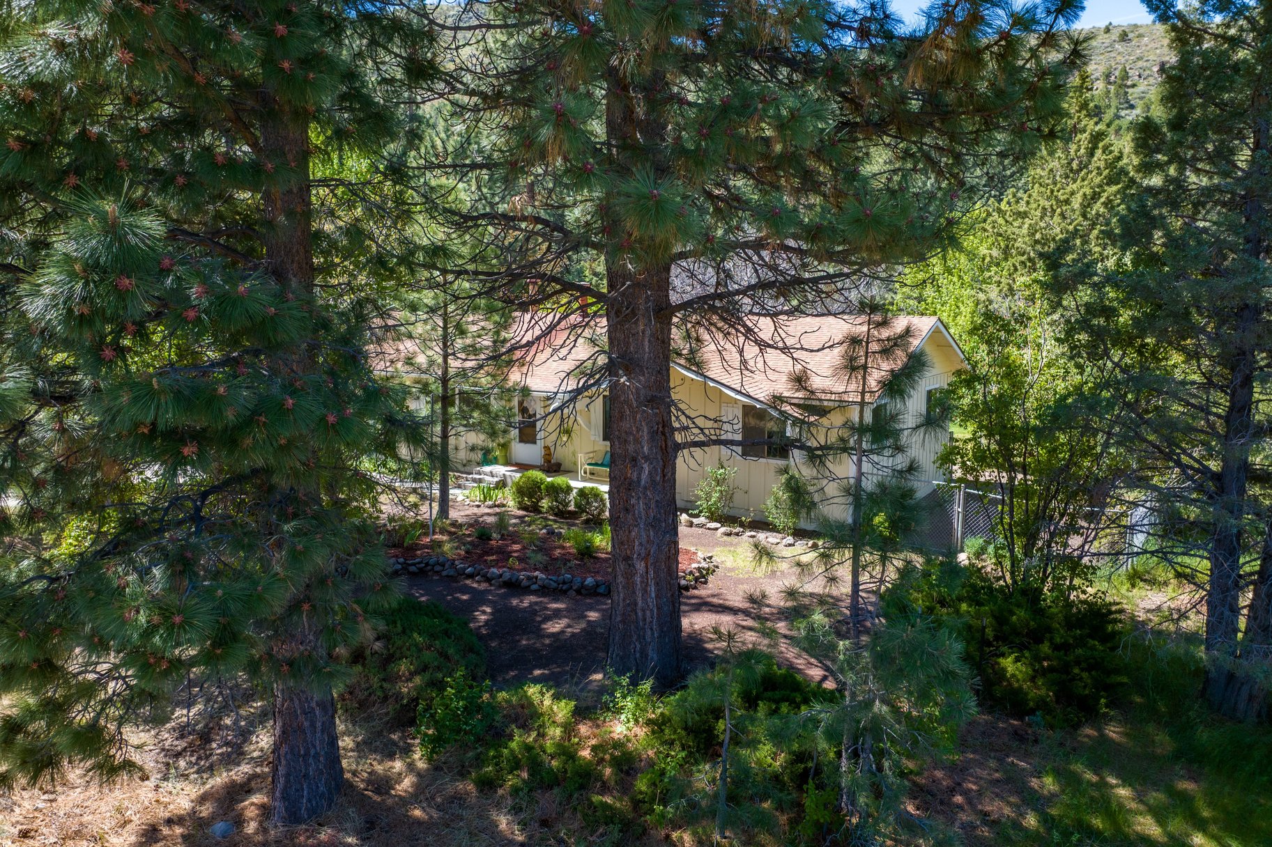  Sweet home on 1.24 acres in Sierra Brooks - 物件實景