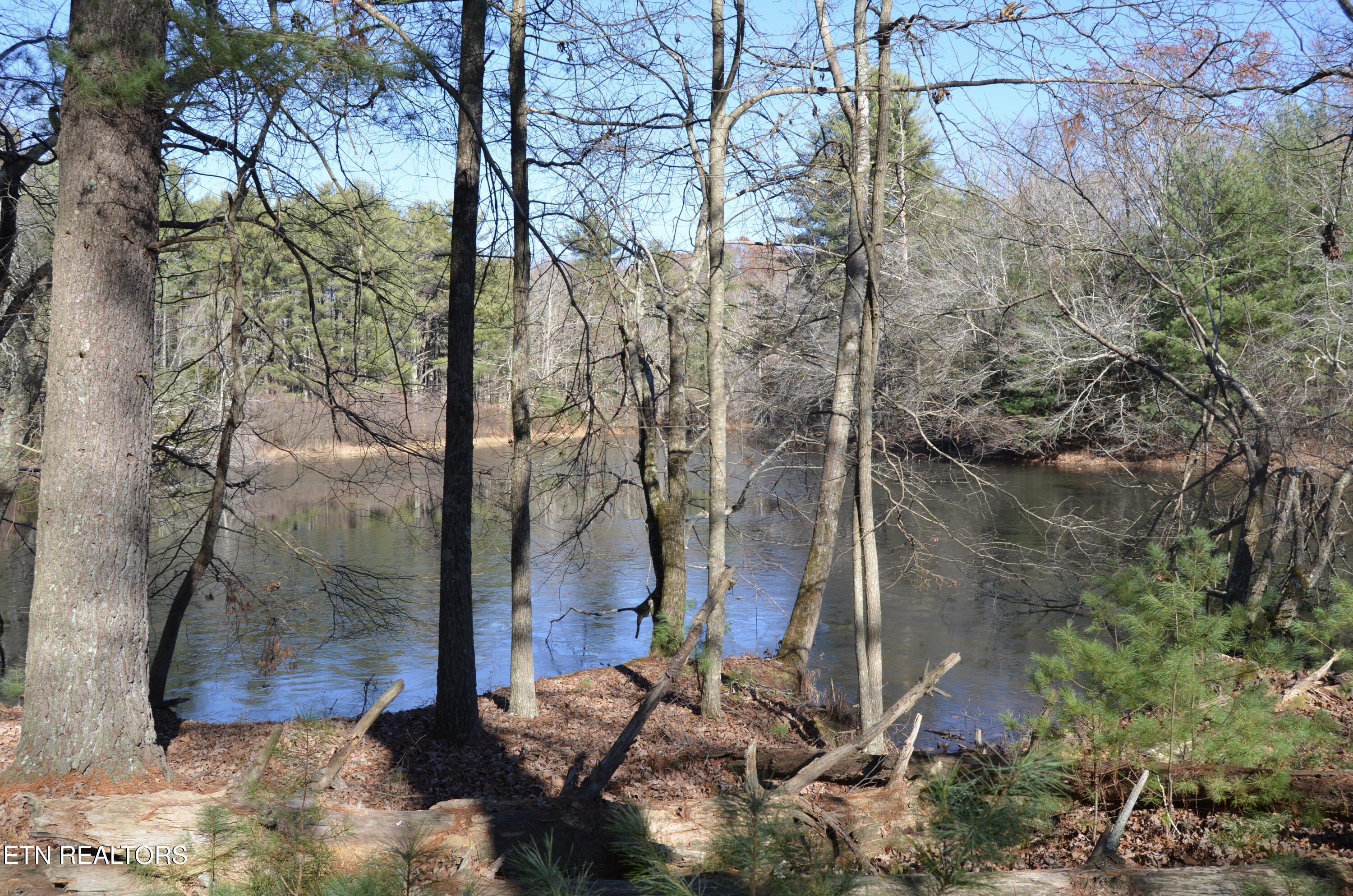 Crossville, Tennessee, 38555, United States, ,Land,For Sale,1983294