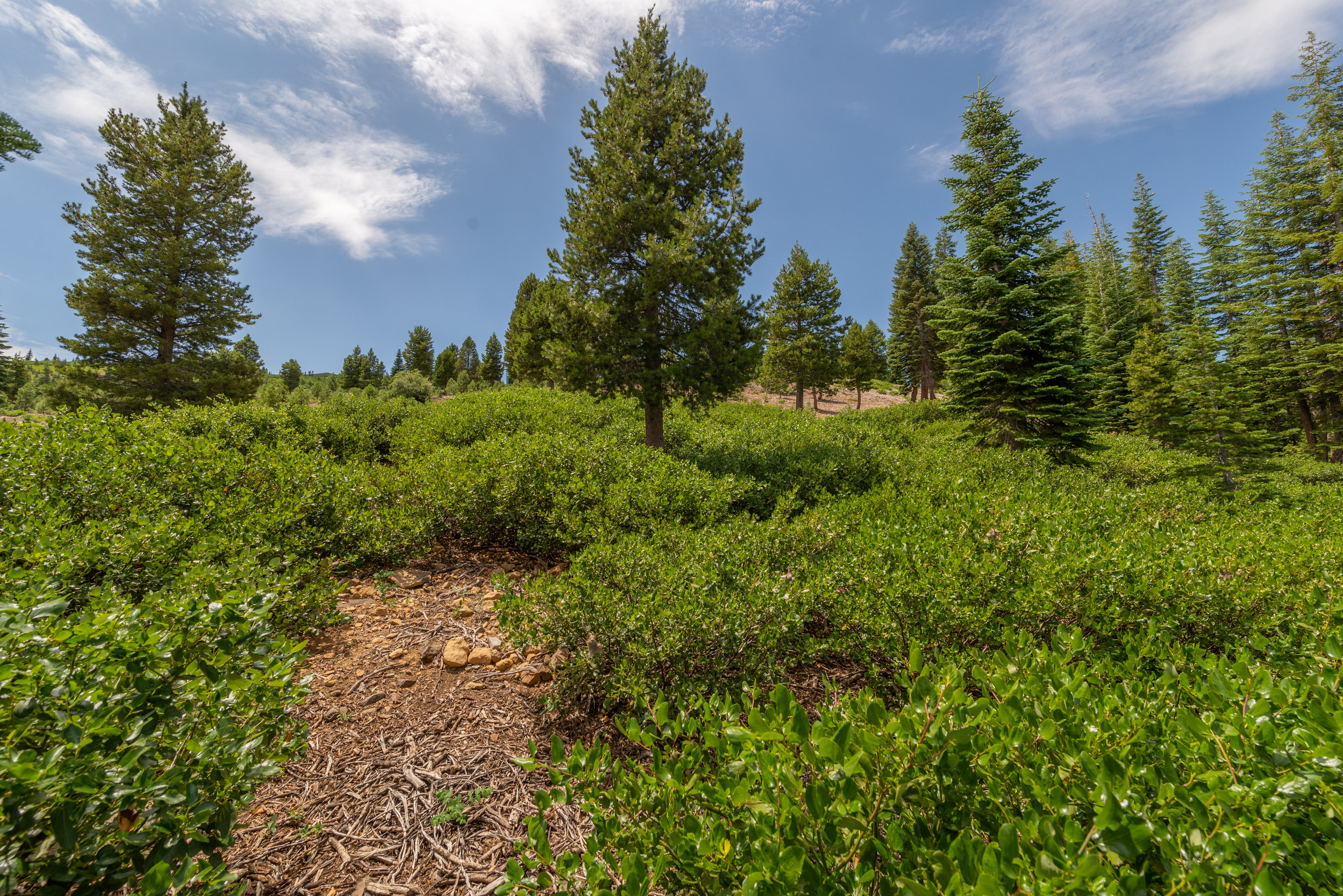  Build Your Mountain Retreat with Backcountry Access - 物件實景