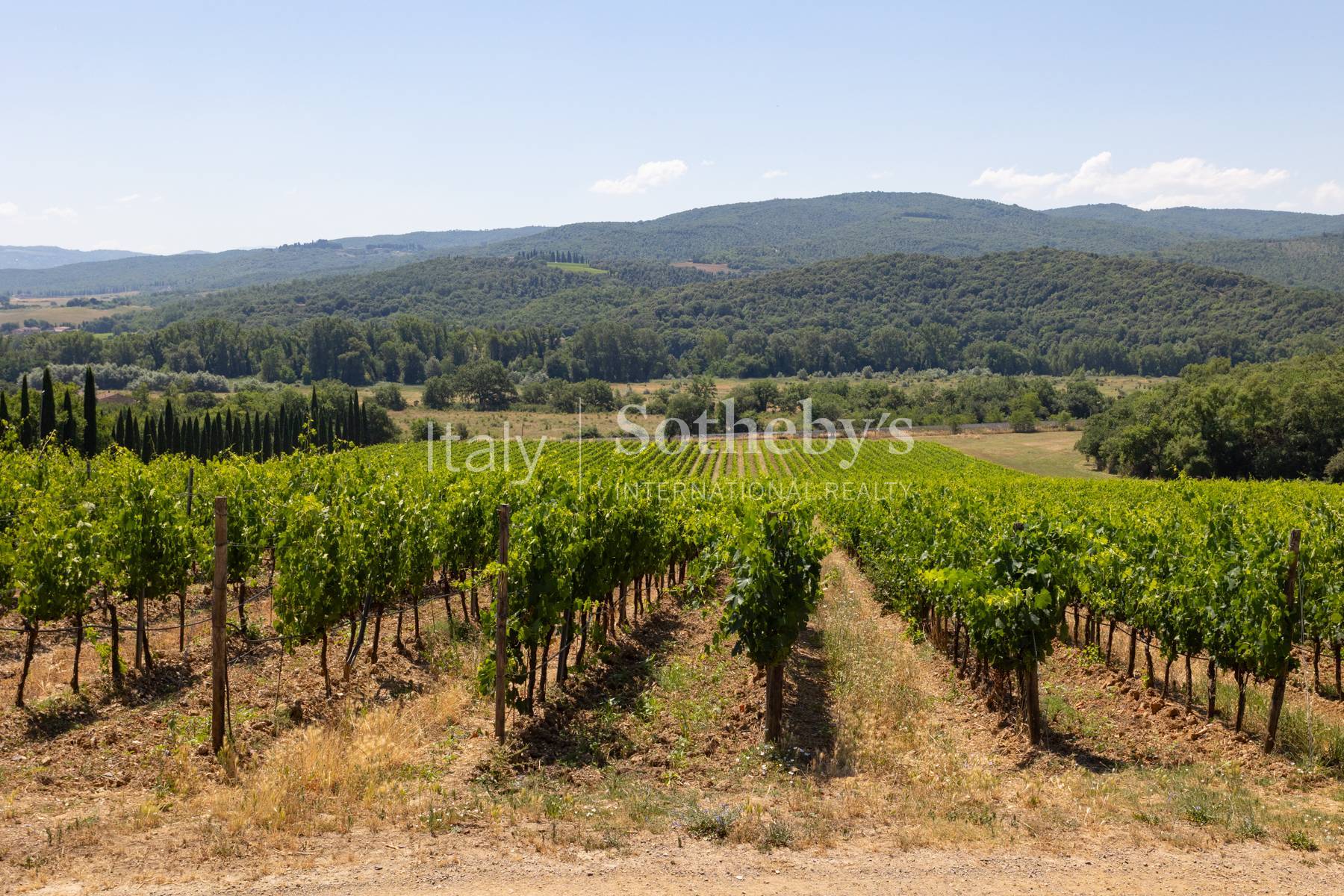  Tuscan estate with vineyards and winery - 物件實景