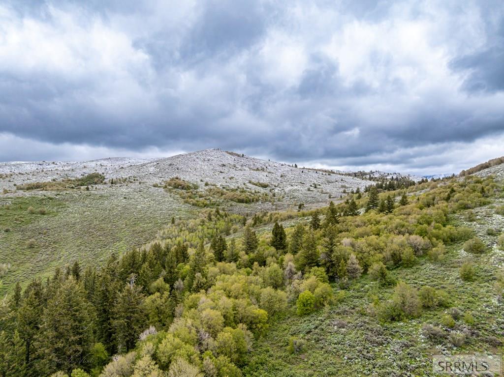 POCATELLO, Idaho, 83201, United States, ,Residential,For Sale,1928703