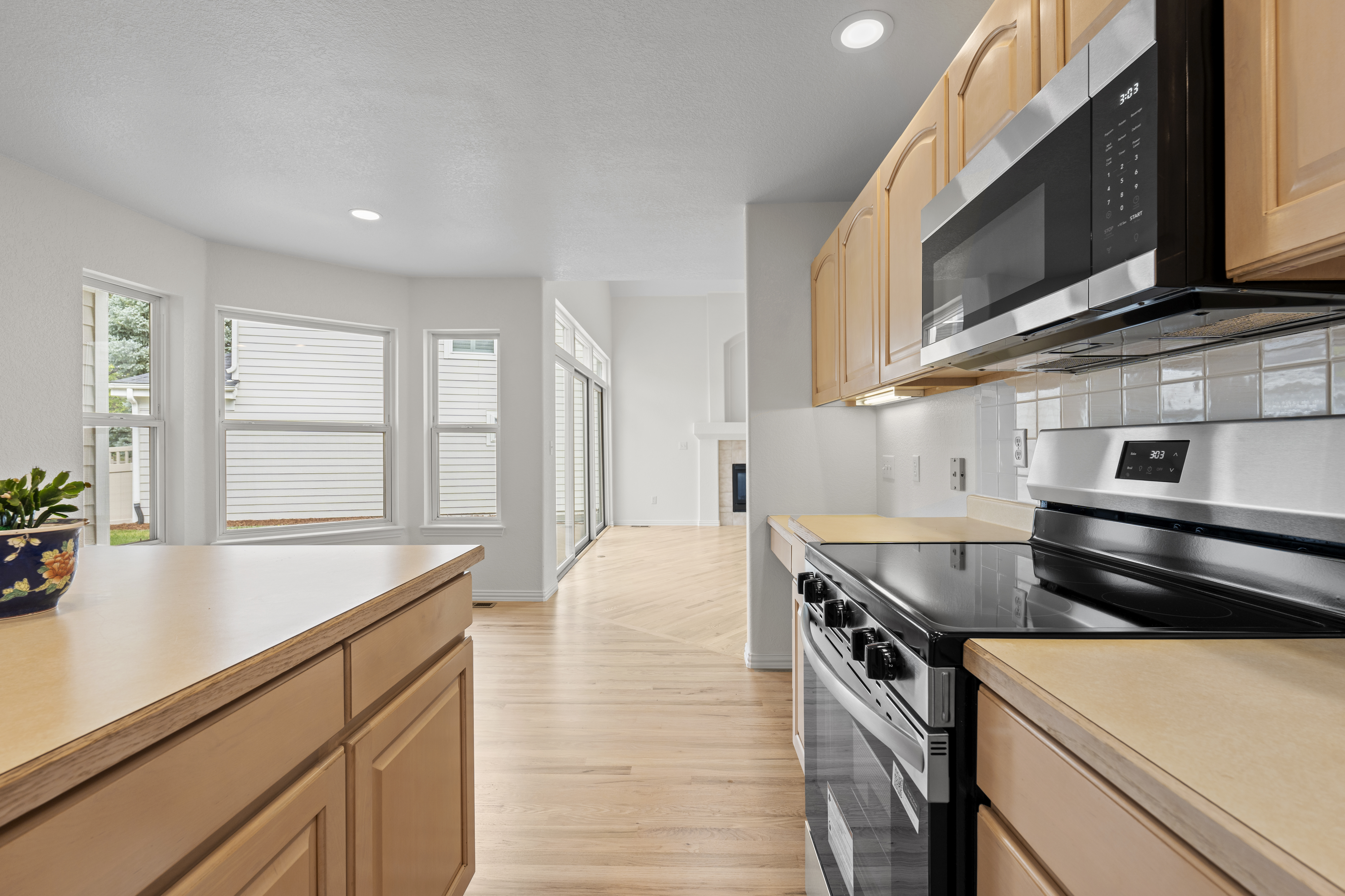  1011 South Valentia Street, Denver, CO 80247 - 物件實景