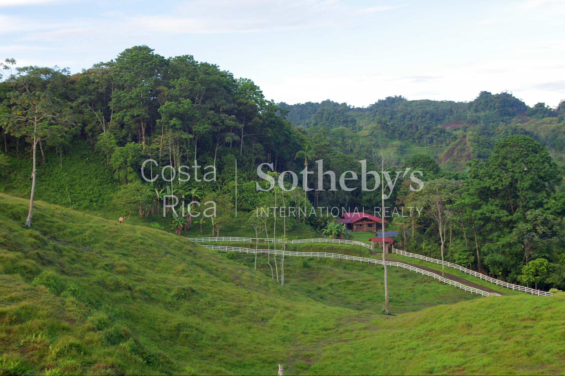  300ha+ Finca Turística Turrialba - 物件實景