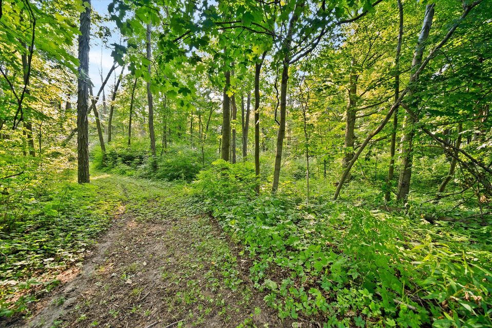 Rhine, Wisconsin, 53020, United States, ,Land,For Sale,1983397