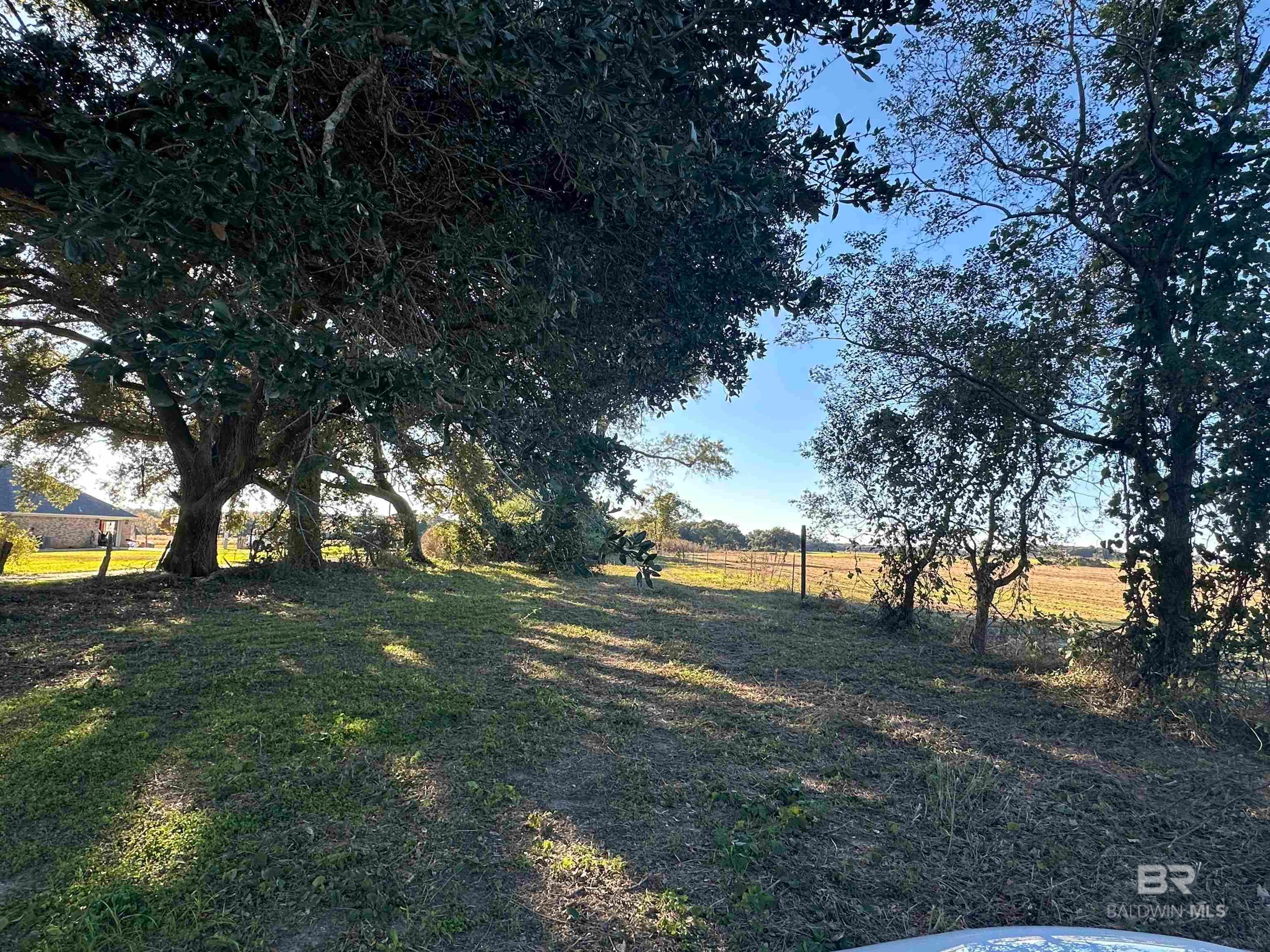 Foley, Alabama, 36535, United States, ,Land,For Sale,1992817