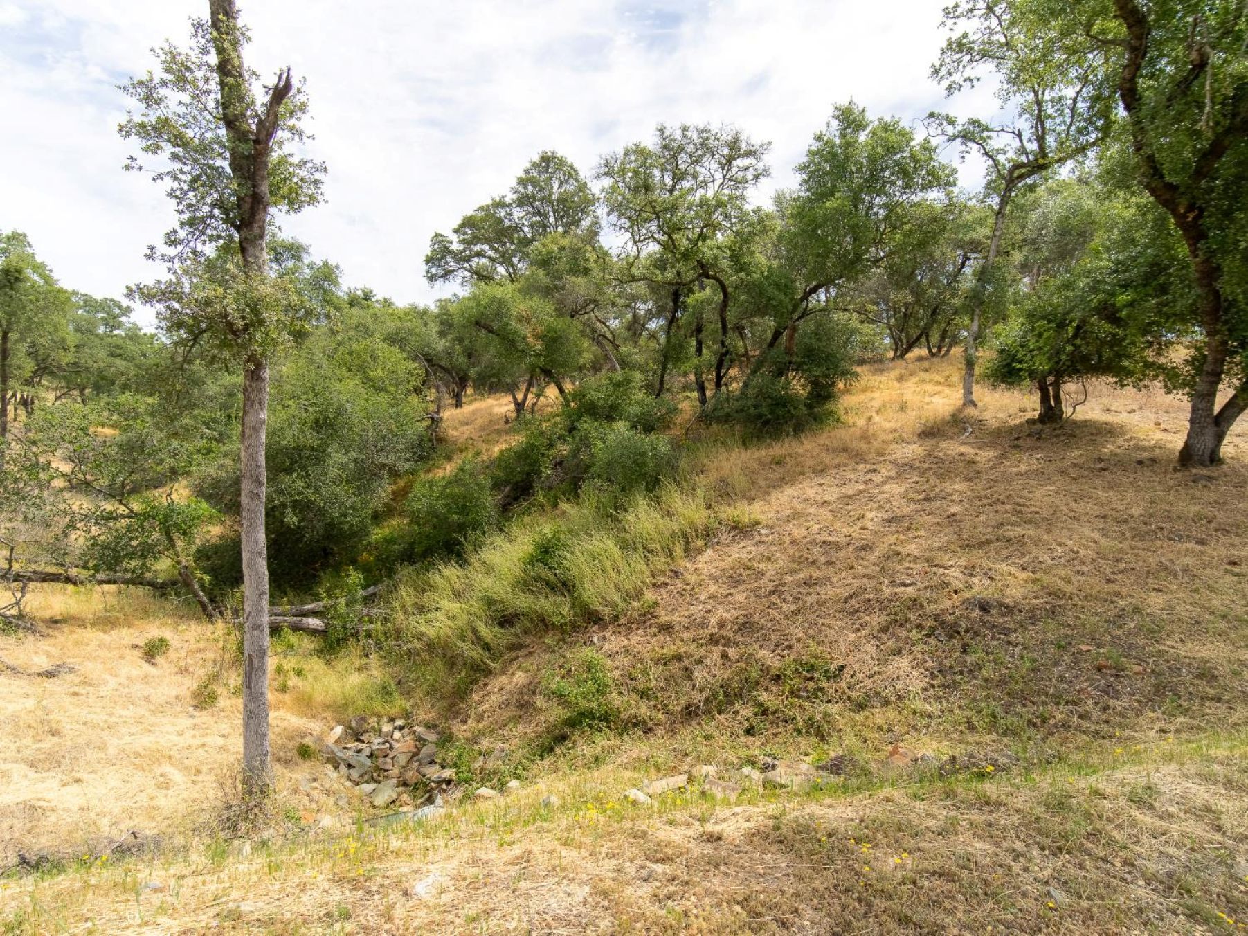  6777 Western Sierra Way, El Dorado Hills, CA 95762 - 物件實景