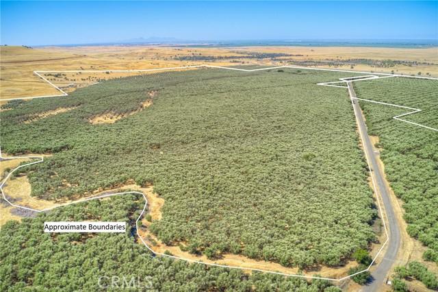 Oroville, California, 95965, United States, ,Land,For Sale,1981865