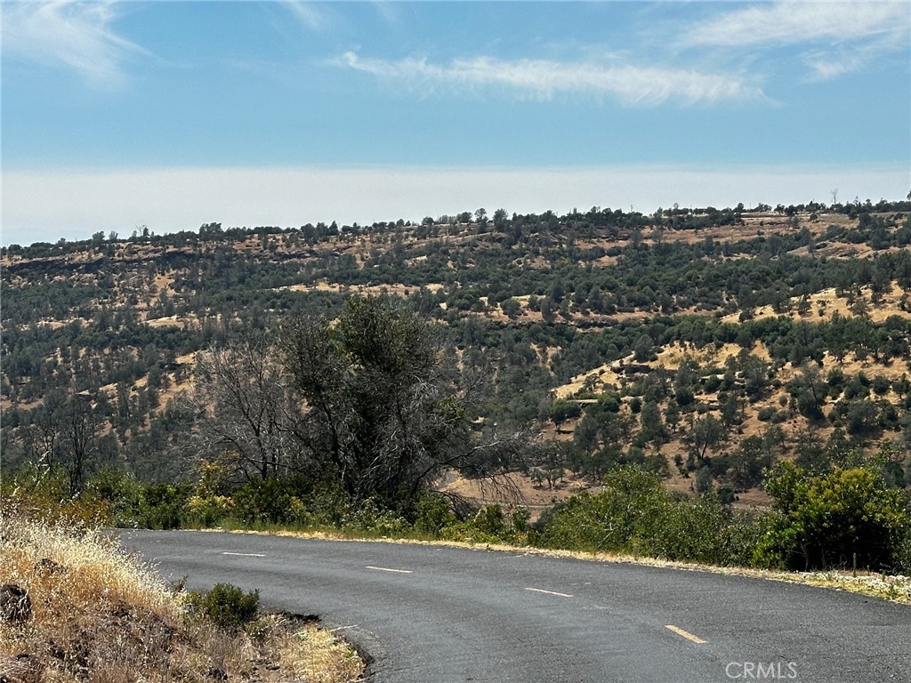 Chico, California, 95928, United States, ,Land,For Sale,1974273
