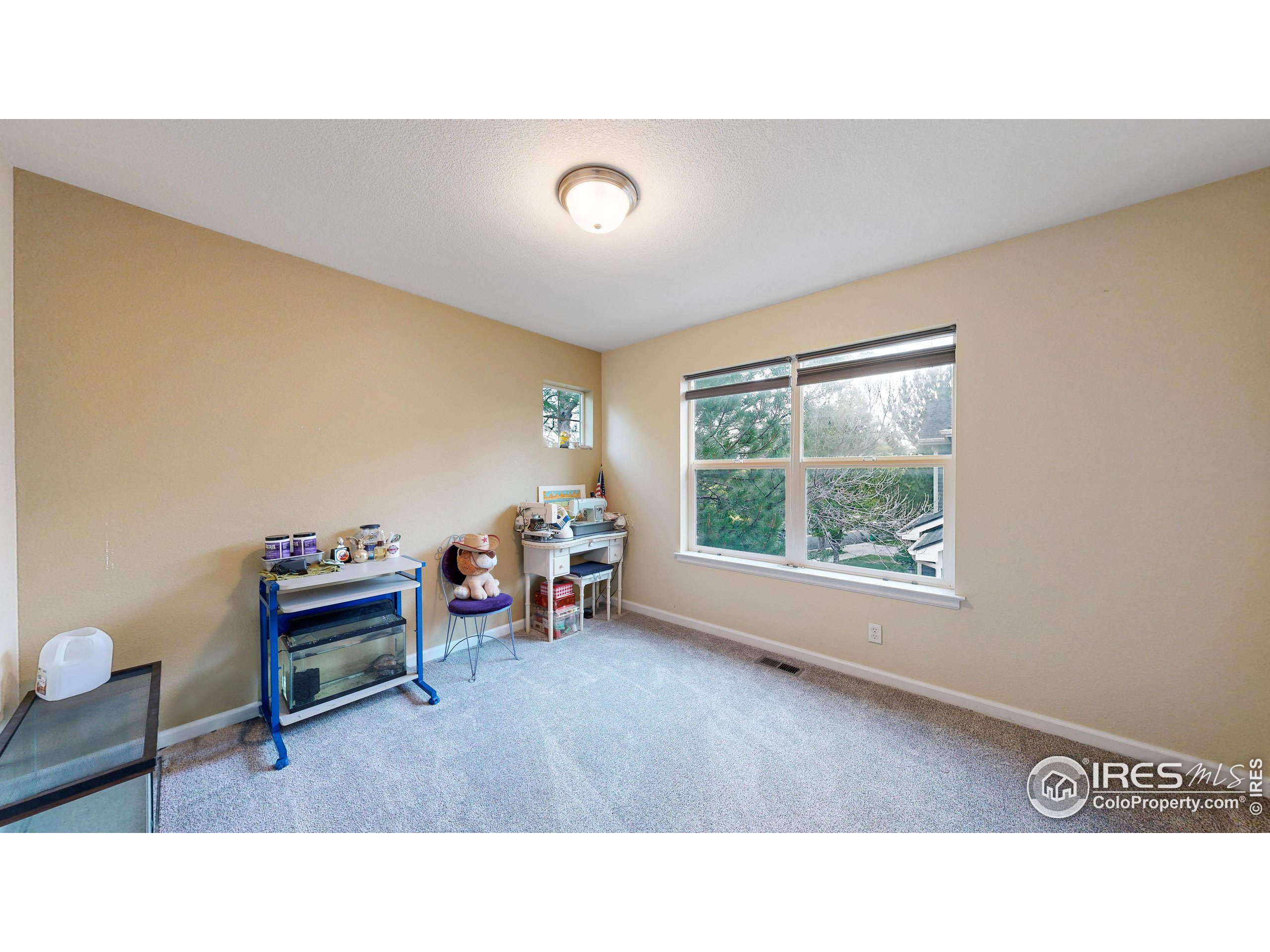 Westminster, Colorado, 80234, United States, 5 Bedrooms Bedrooms, ,3 BathroomsBathrooms,Residential,For Sale,1729944